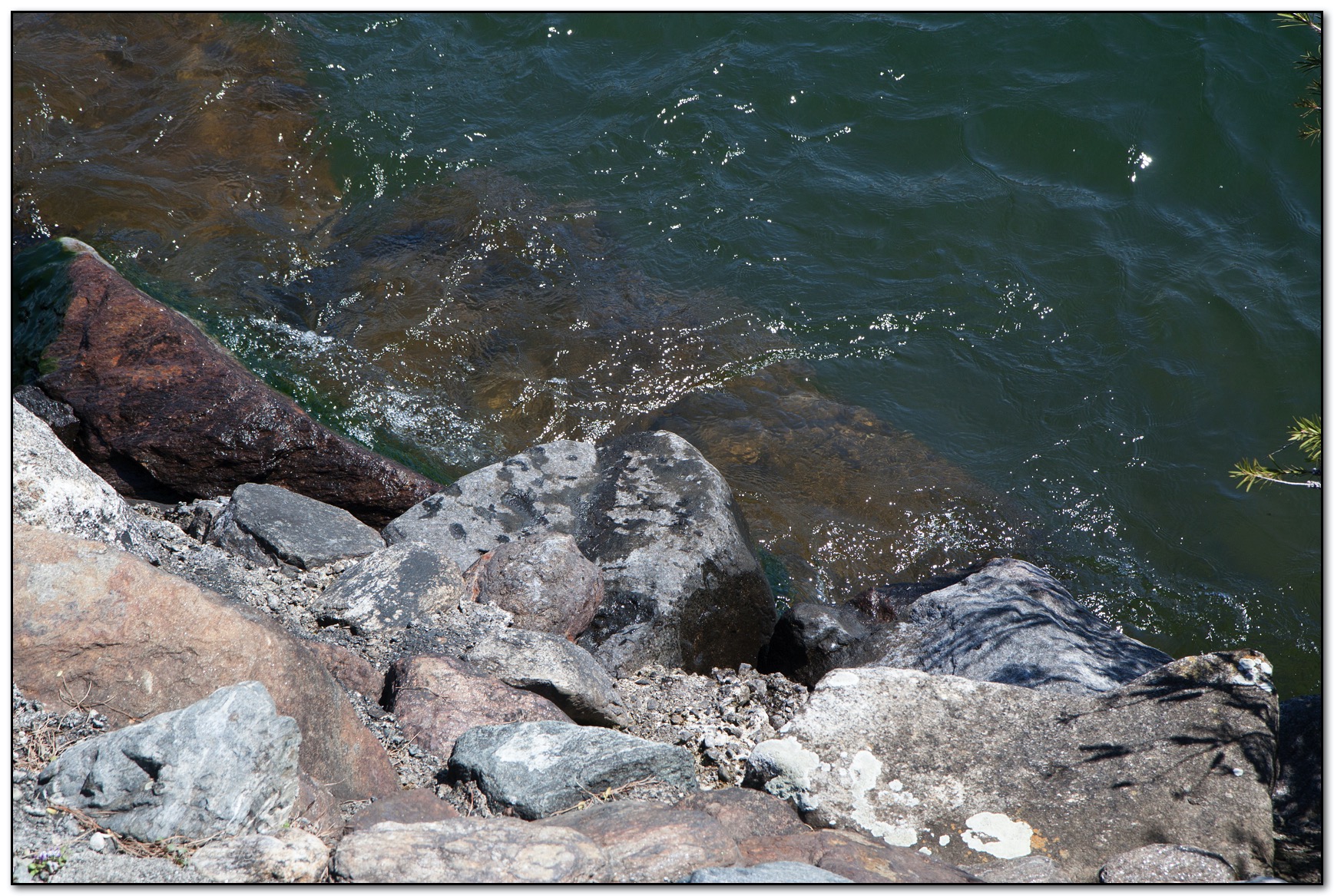 &copy; Petra Bischoff 