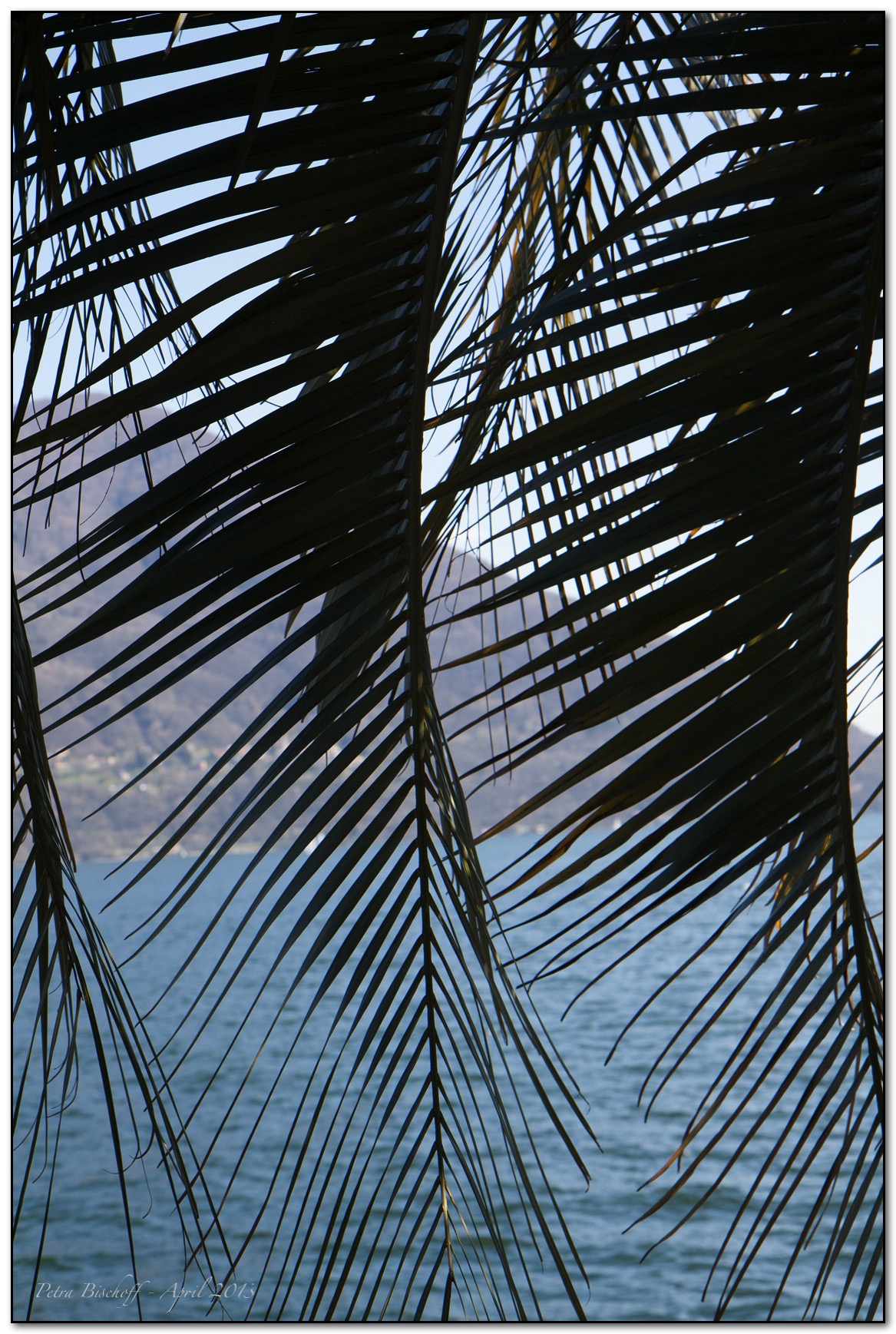 &copy; Petra Bischoff 