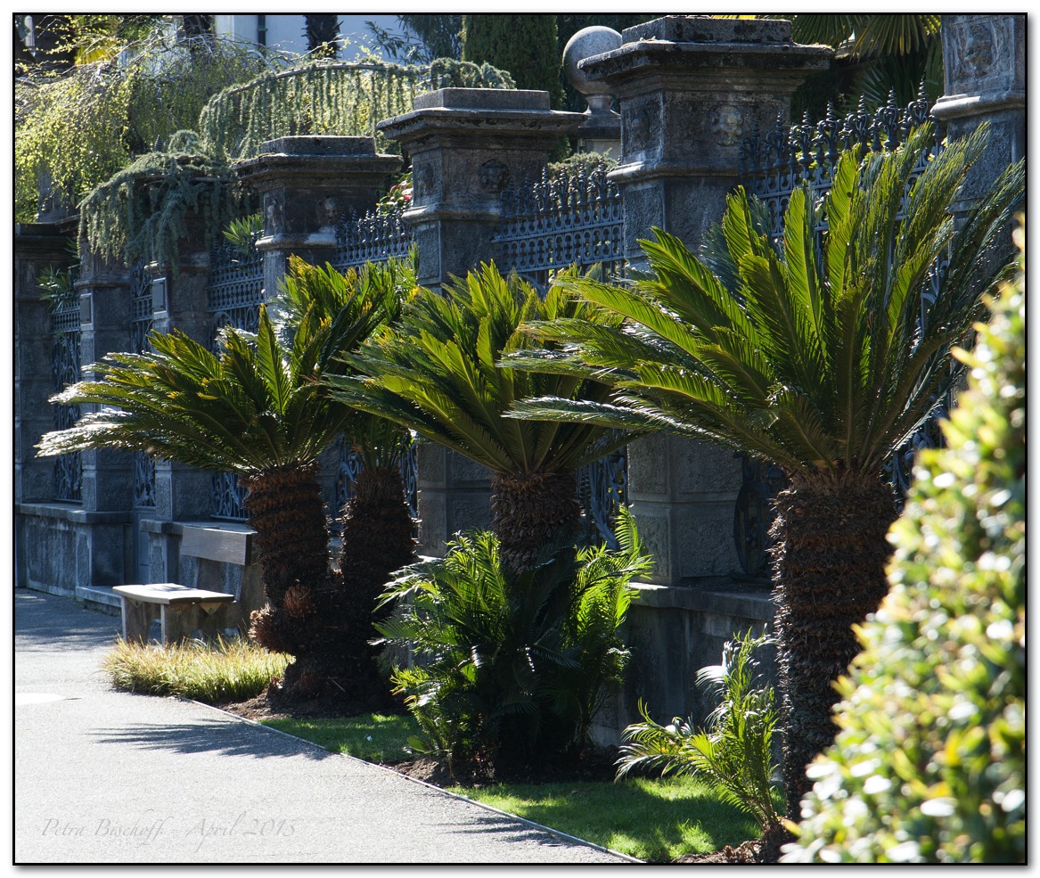 &copy; Petra Bischoff 