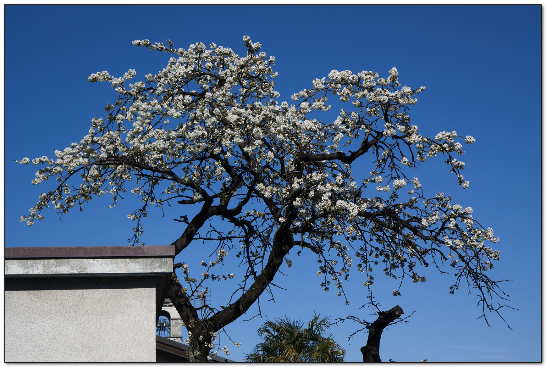 &copy; Petra Bischoff 