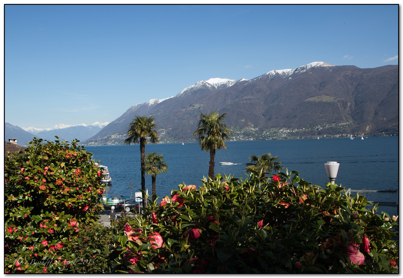 &copy; Petra Bischoff 