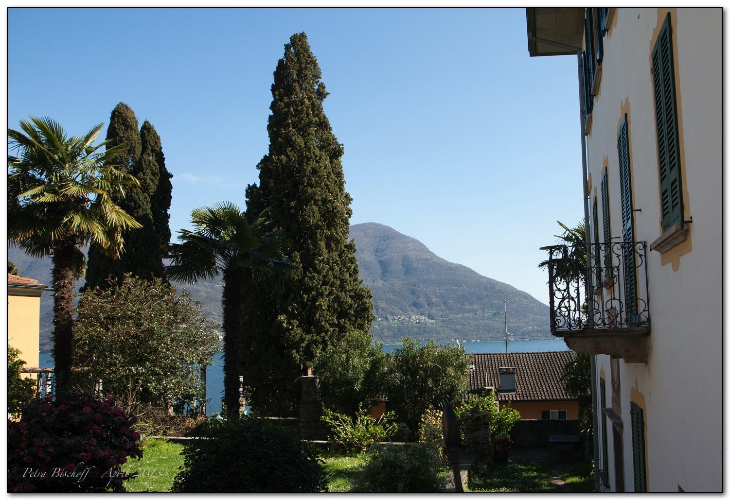 &copy; Petra Bischoff 