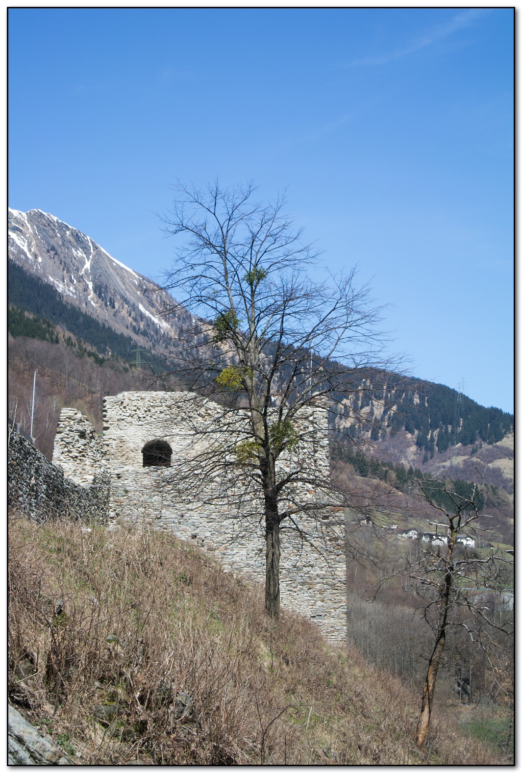 &copy; Petra Bischoff 