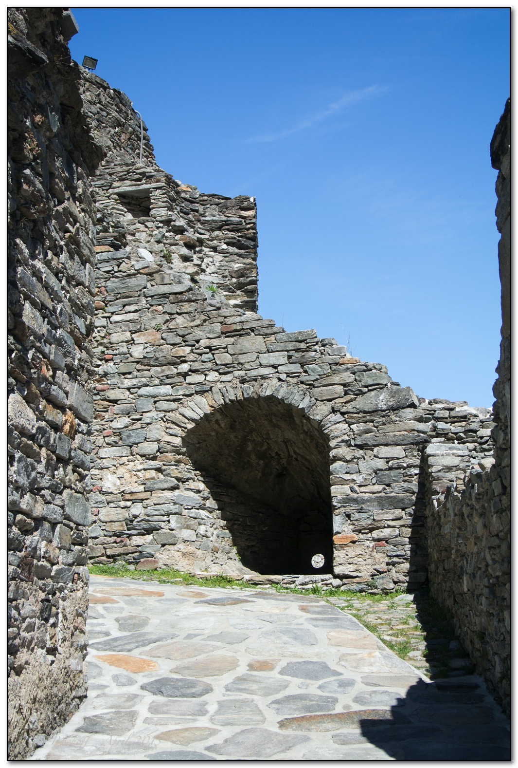 &copy; Petra Bischoff 