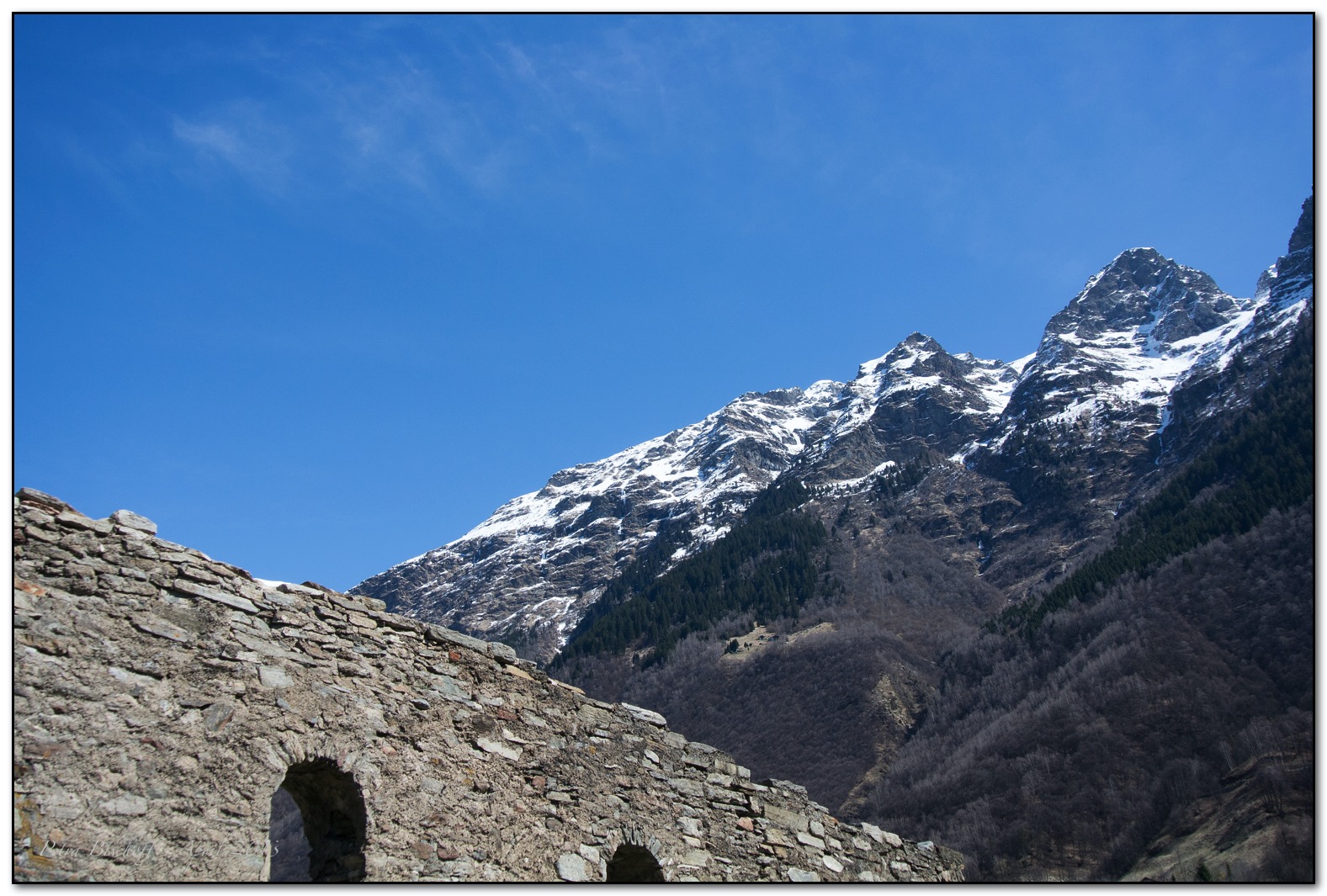 &copy; Petra Bischoff 