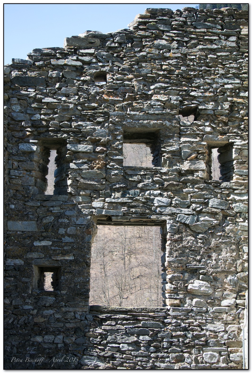 &copy; Petra Bischoff 