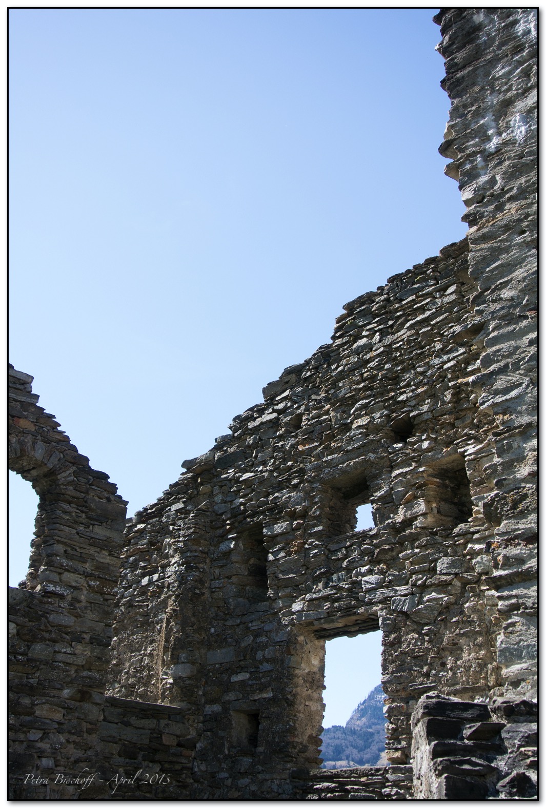 &copy; Petra Bischoff 