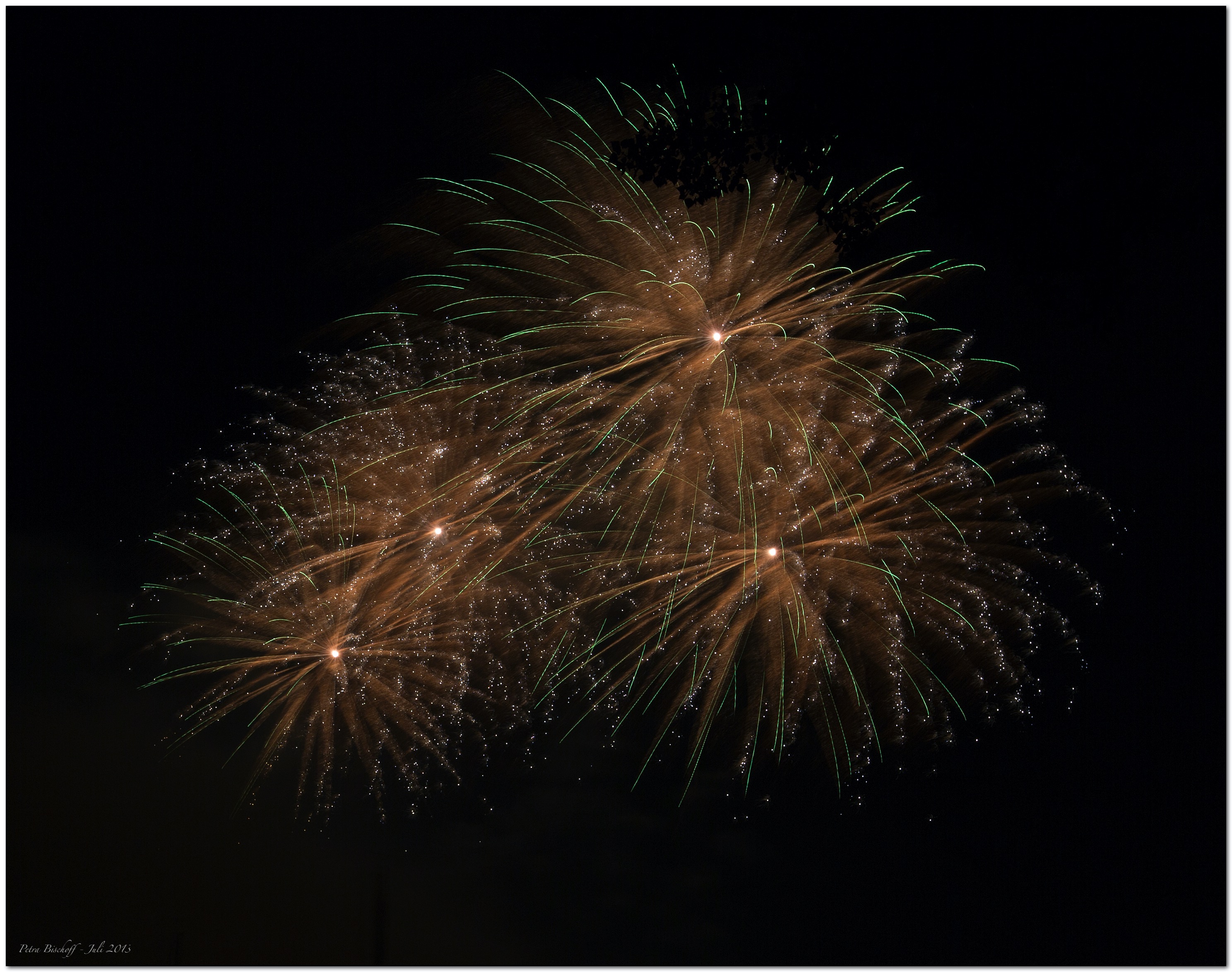 &copy; Petra Bischoff