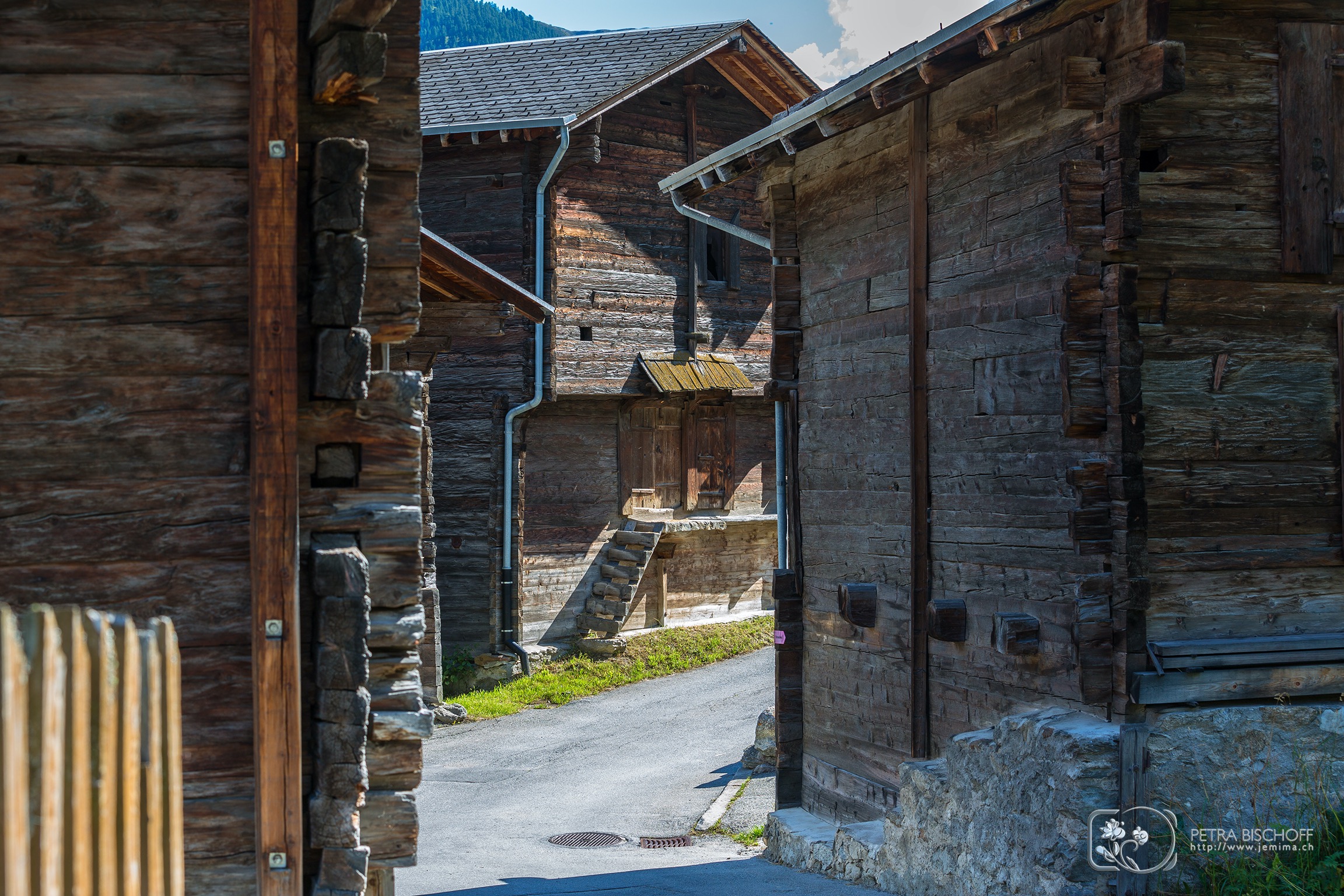 &copy; Petra Bischoff