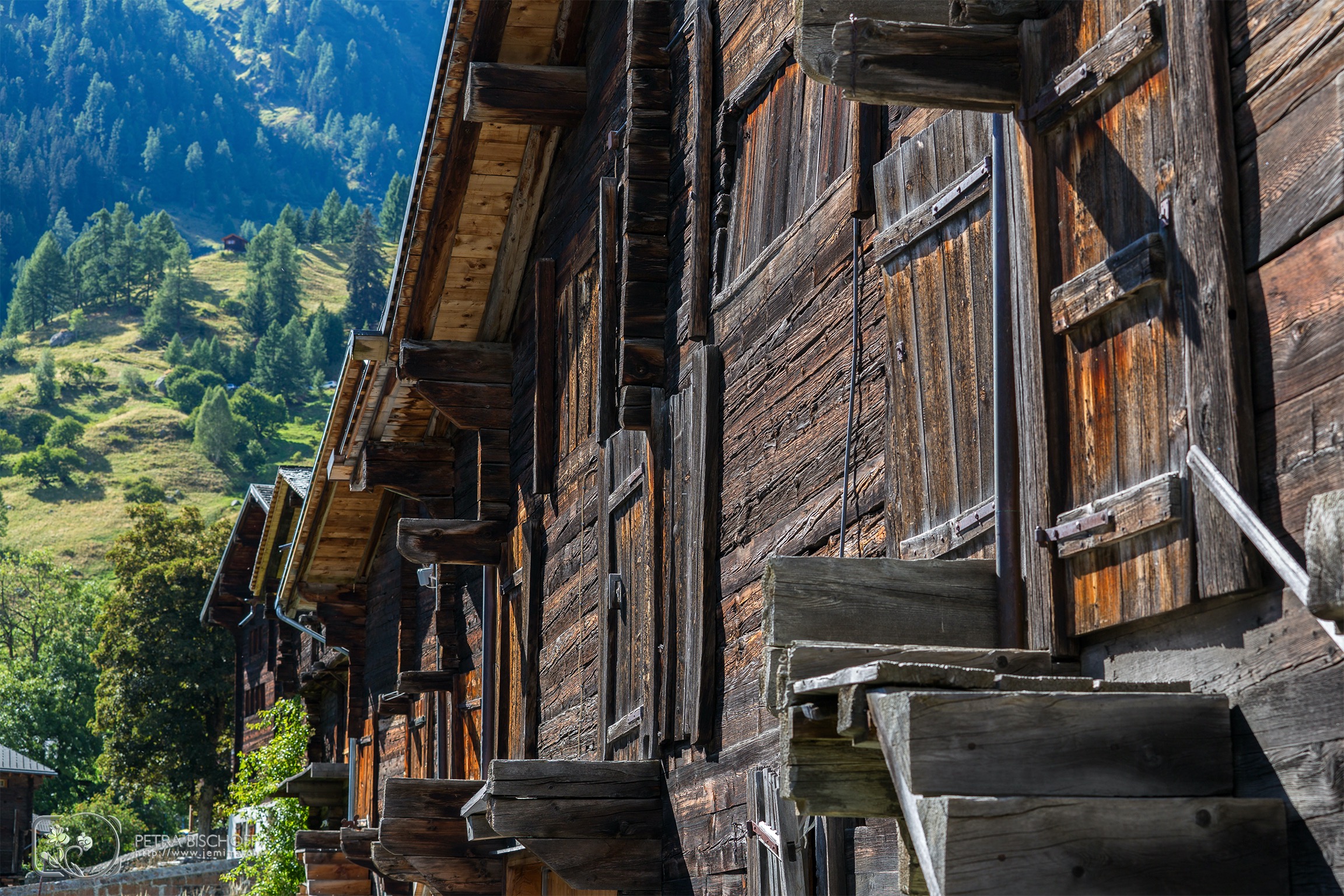 &copy; Petra Bischoff