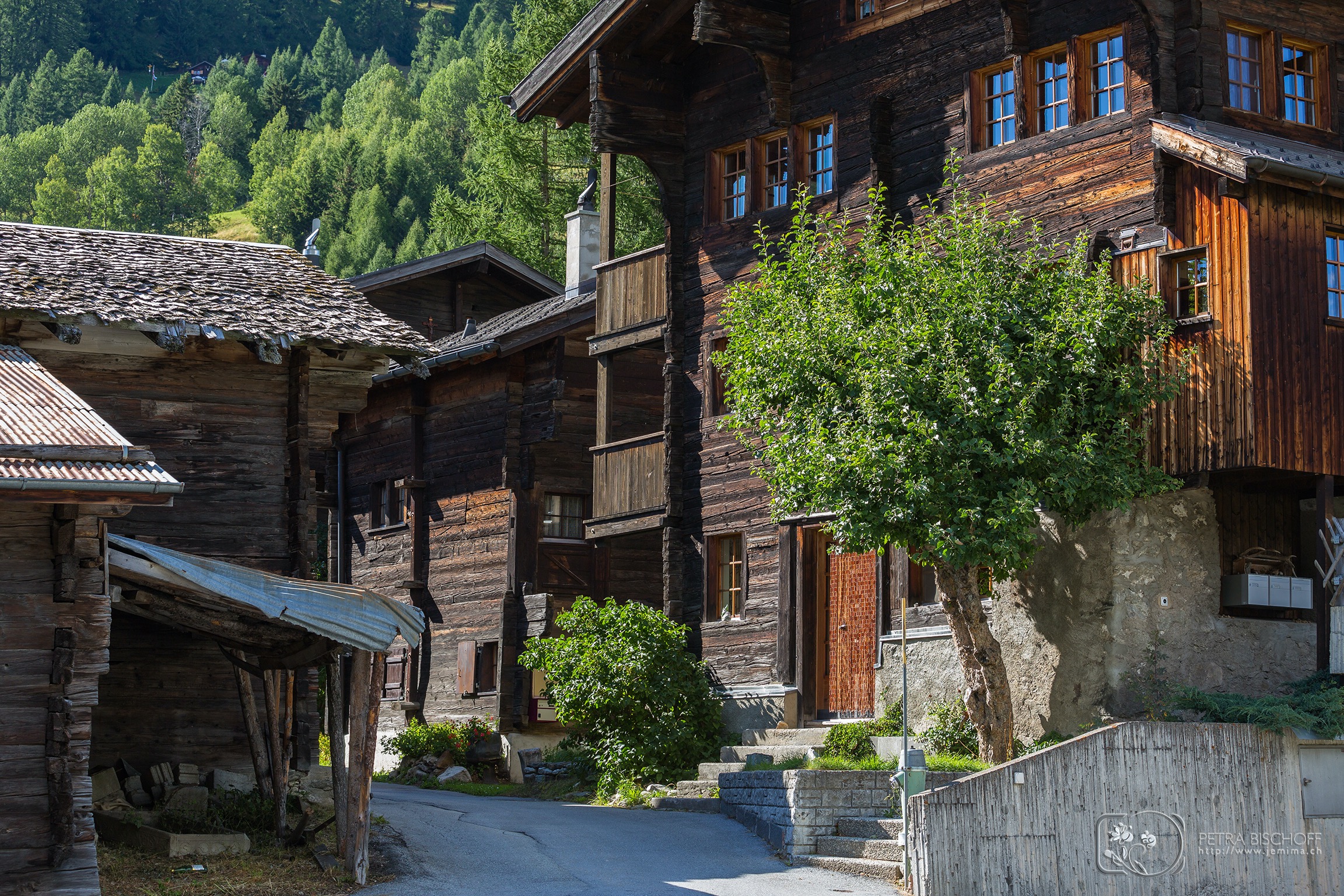 &copy; Petra Bischoff