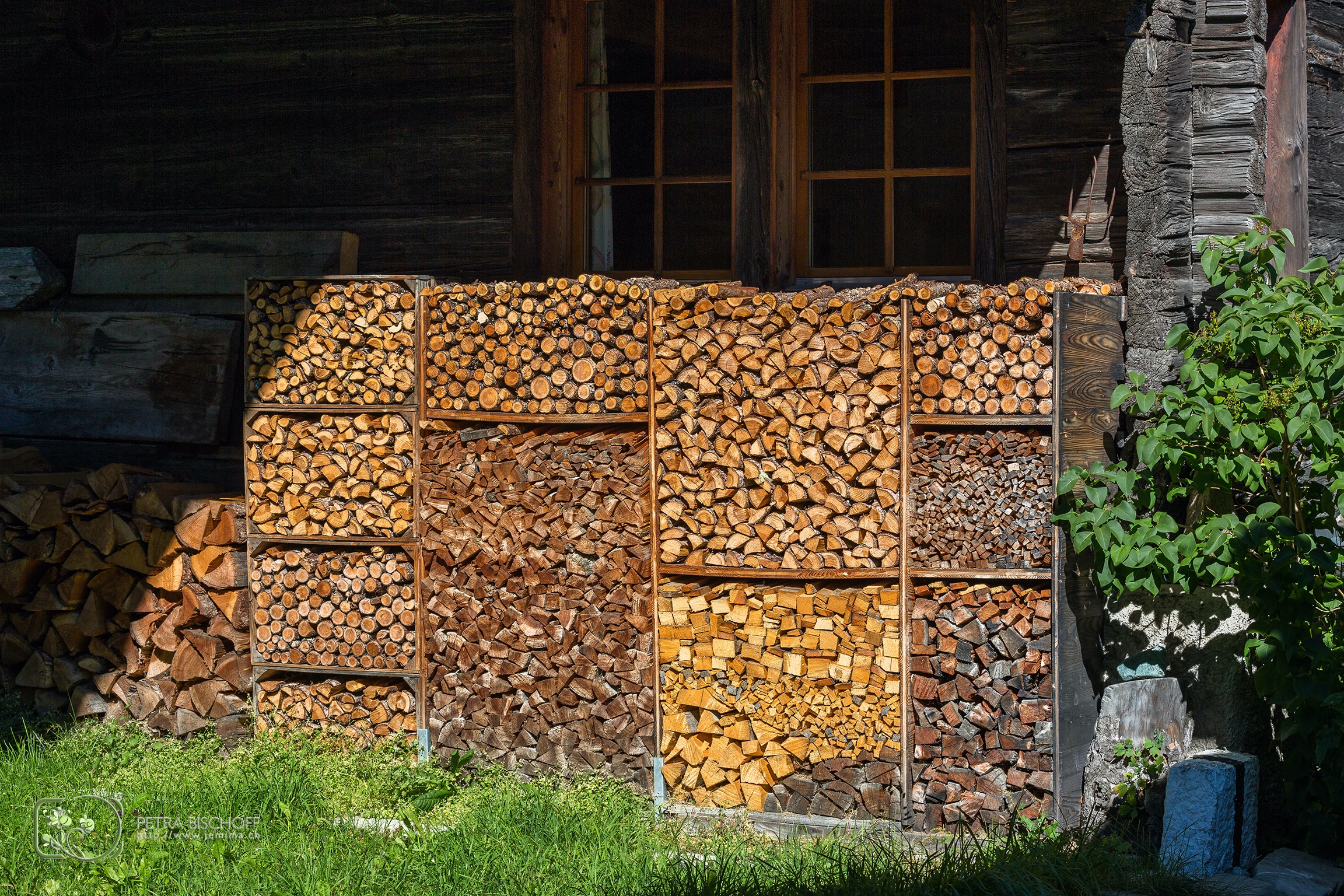 &copy; Petra Bischoff