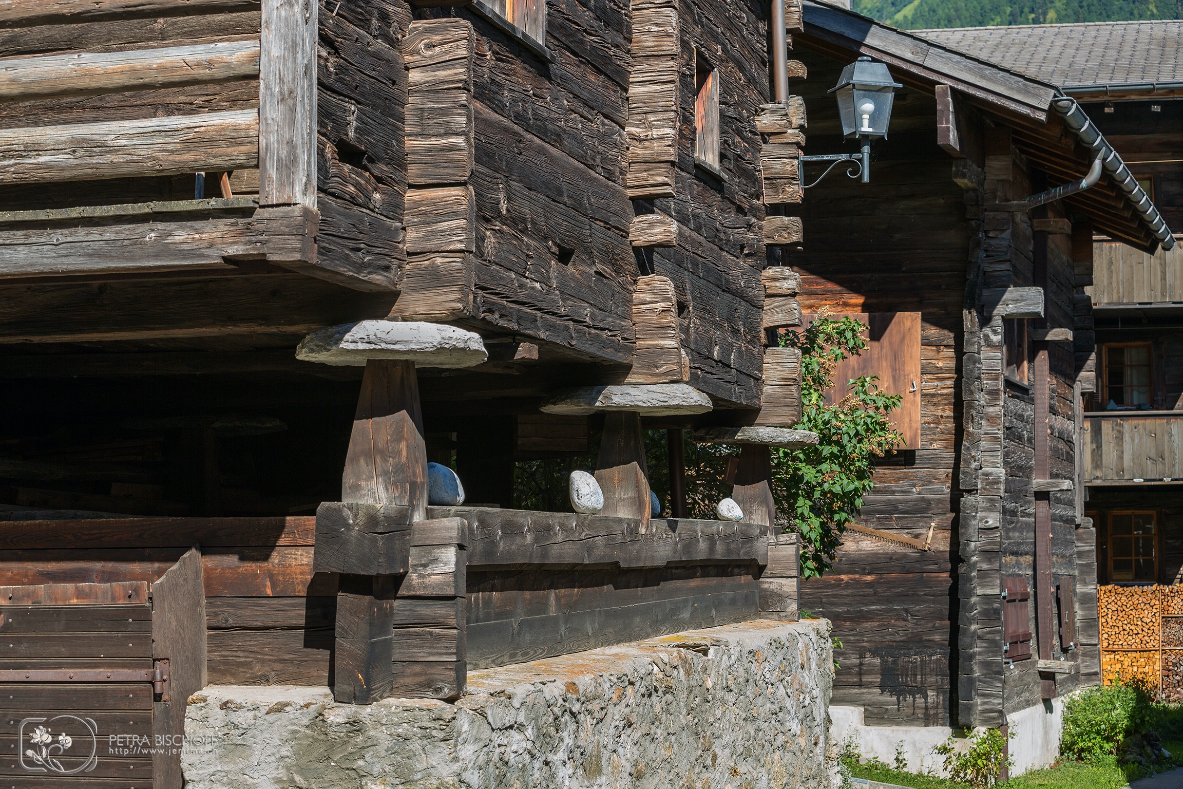 &copy; Petra Bischoff