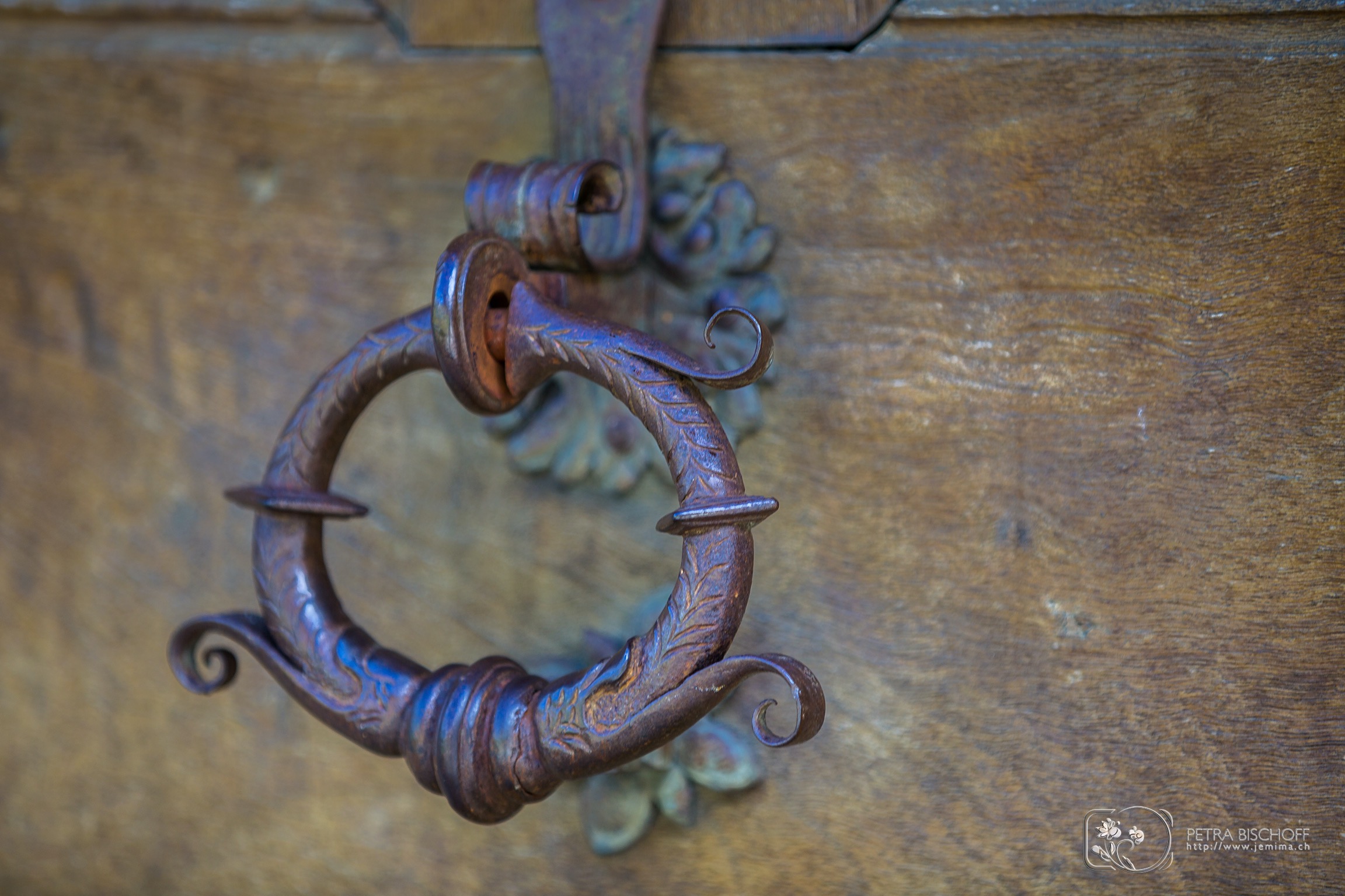 &copy; Petra Bischoff