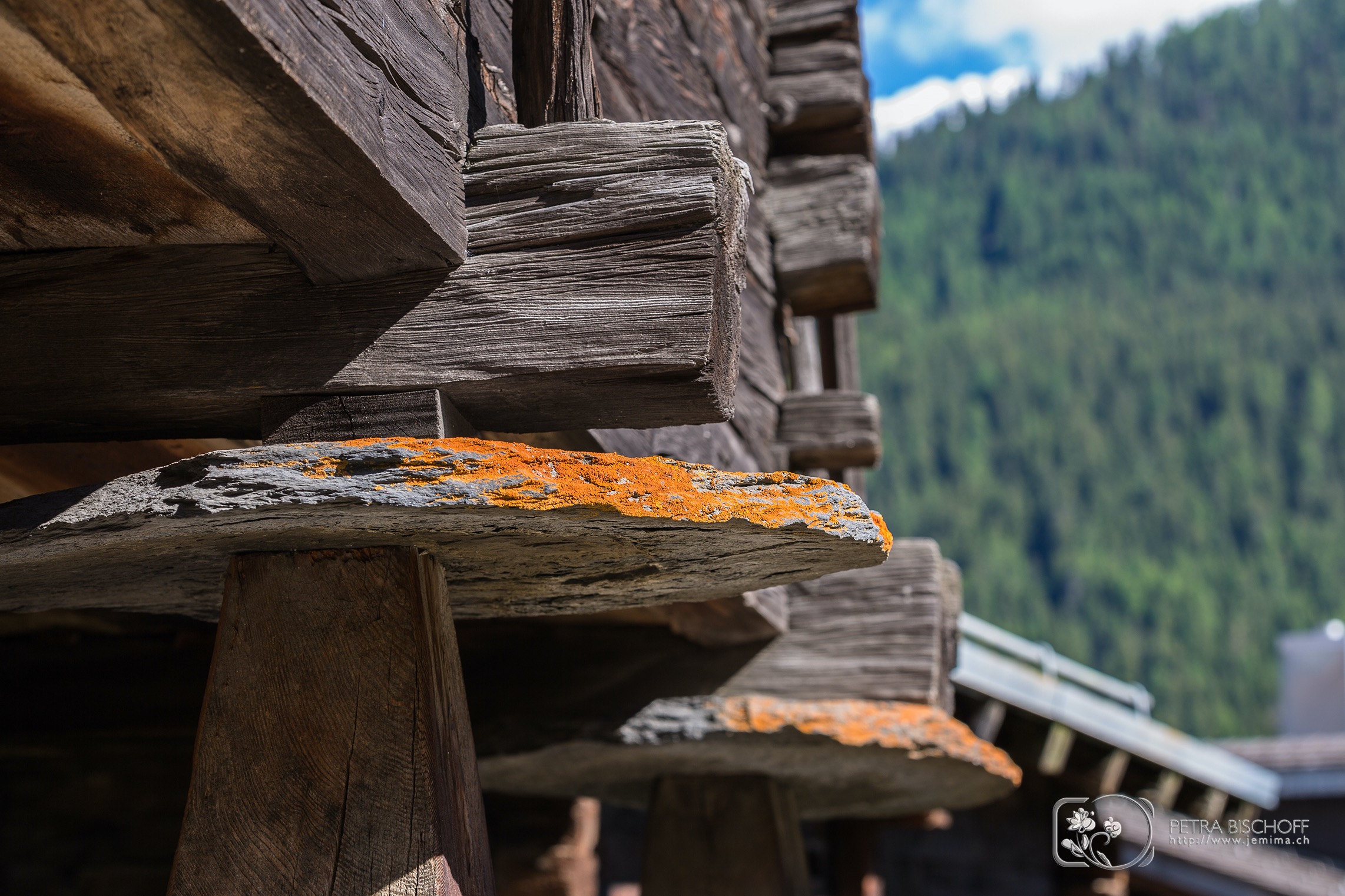 &copy; Petra Bischoff