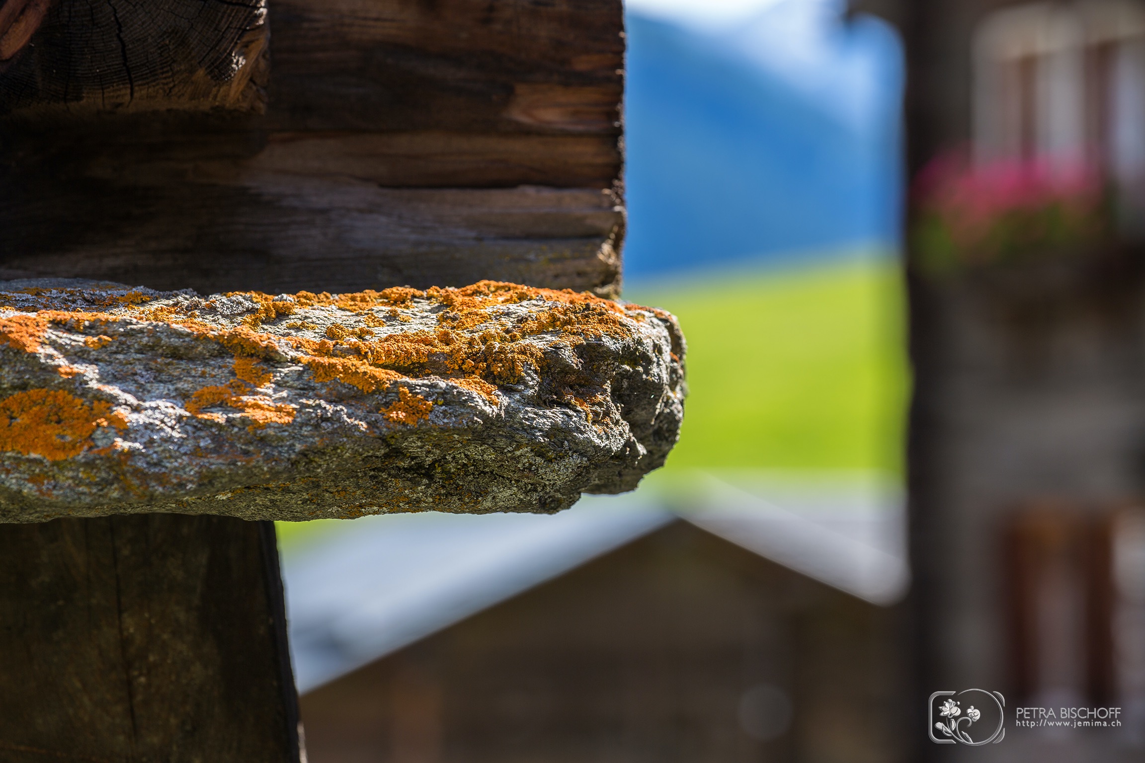 &copy; Petra Bischoff