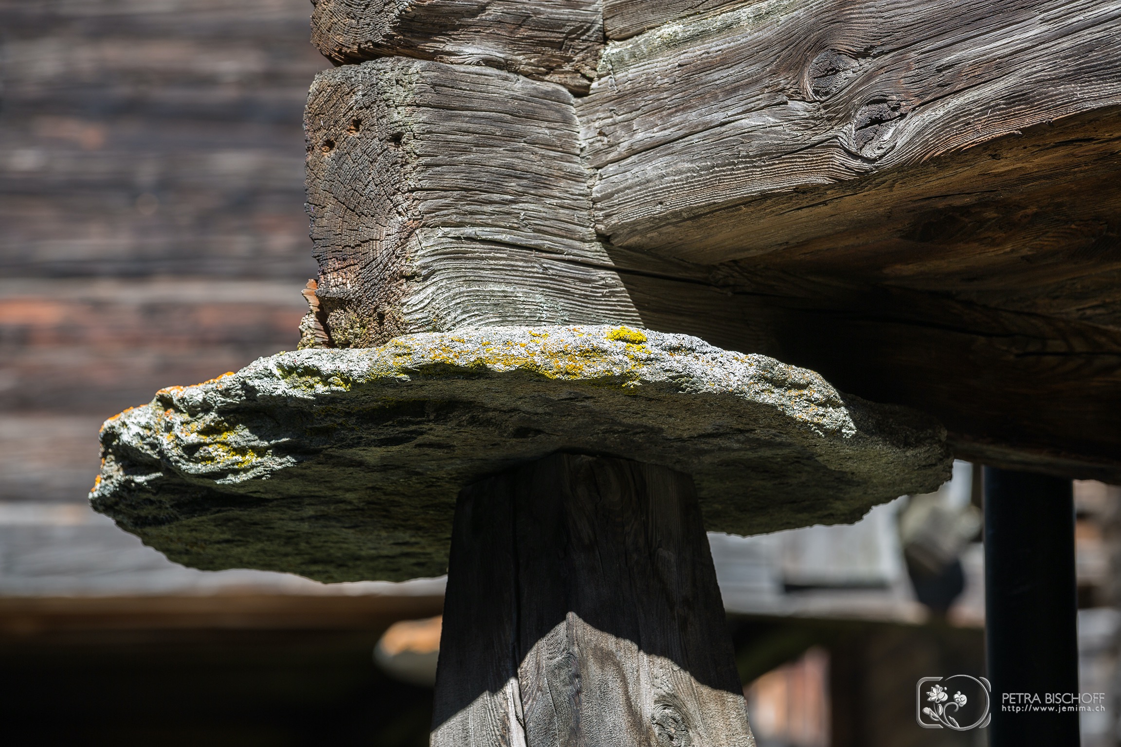 &copy; Petra Bischoff