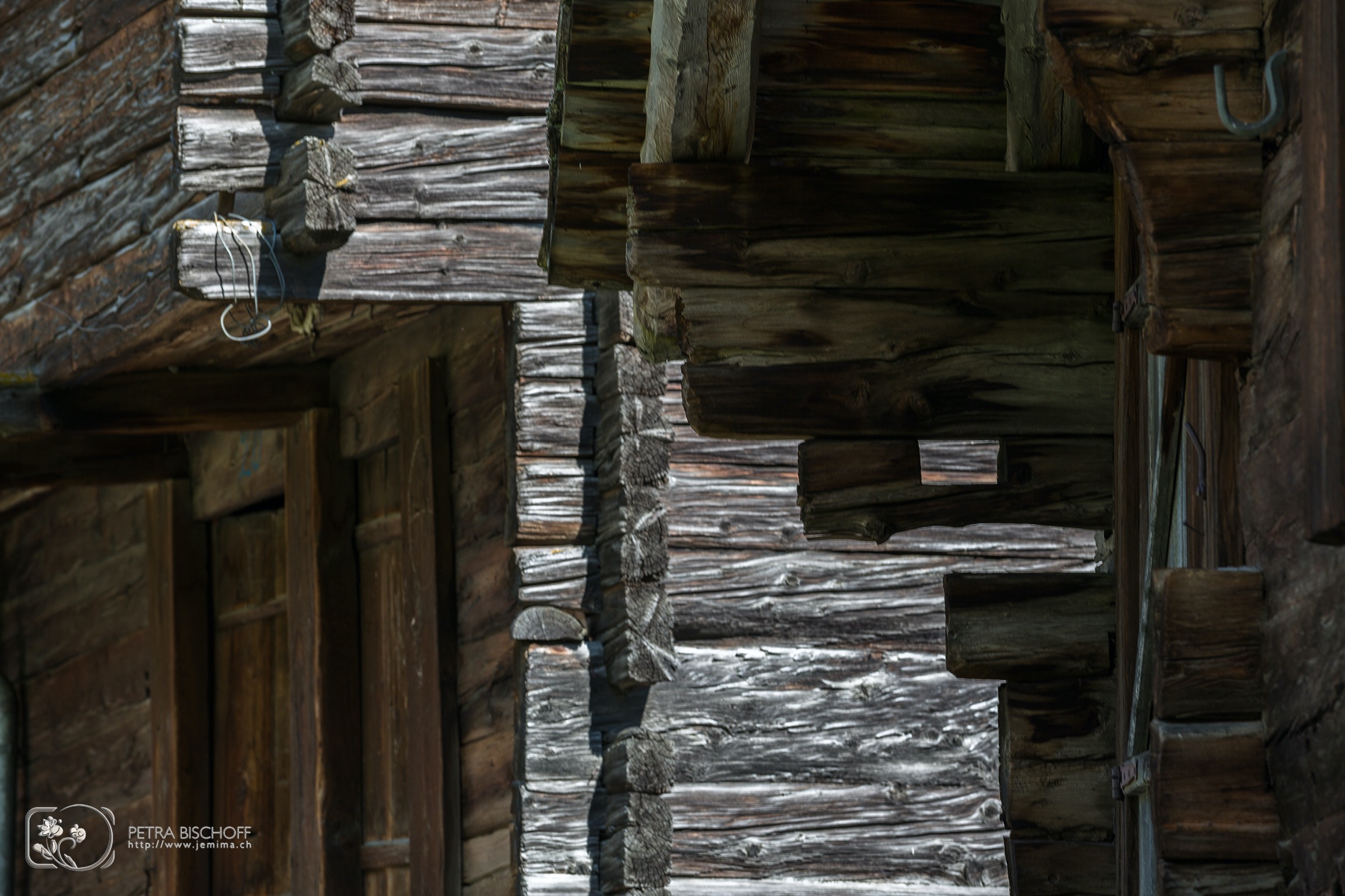 &copy; Petra Bischoff