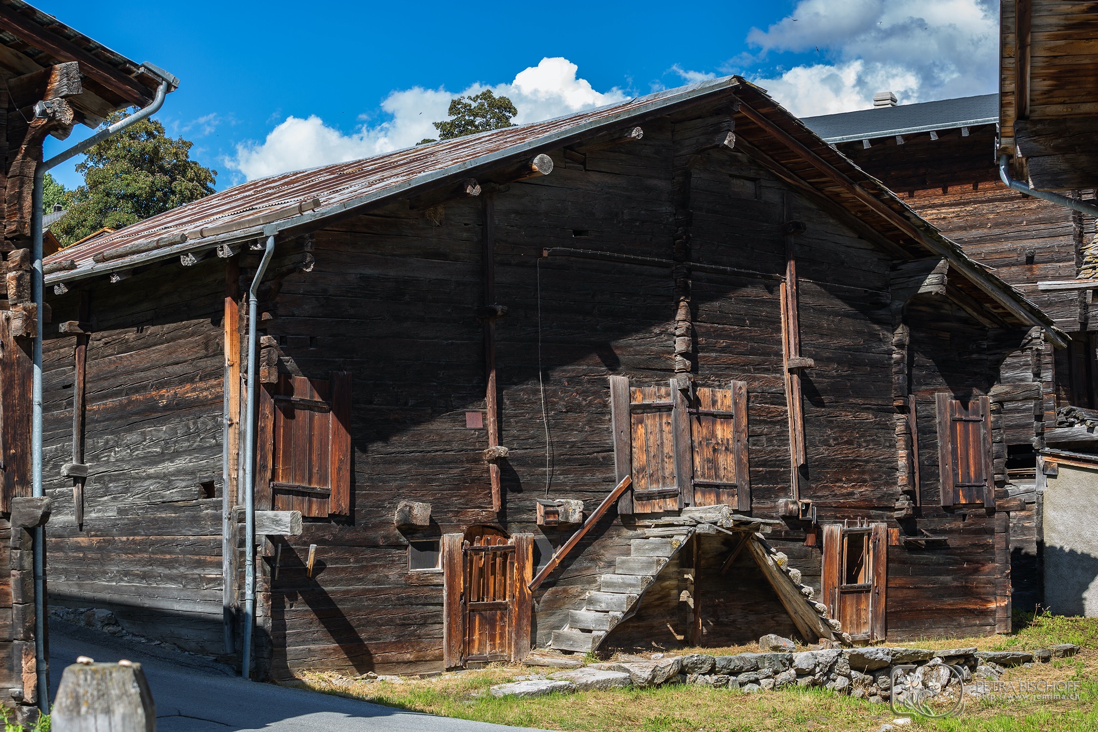 &copy; Petra Bischoff