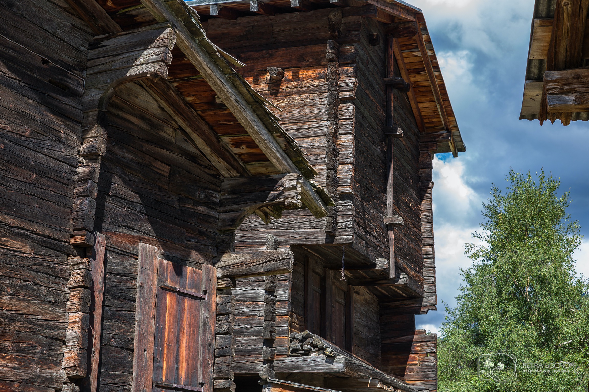 &copy; Petra Bischoff