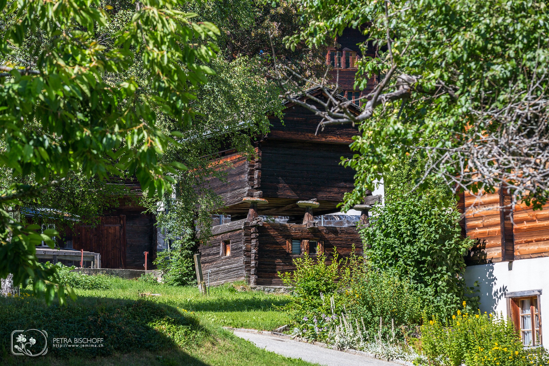 &copy; Petra Bischoff