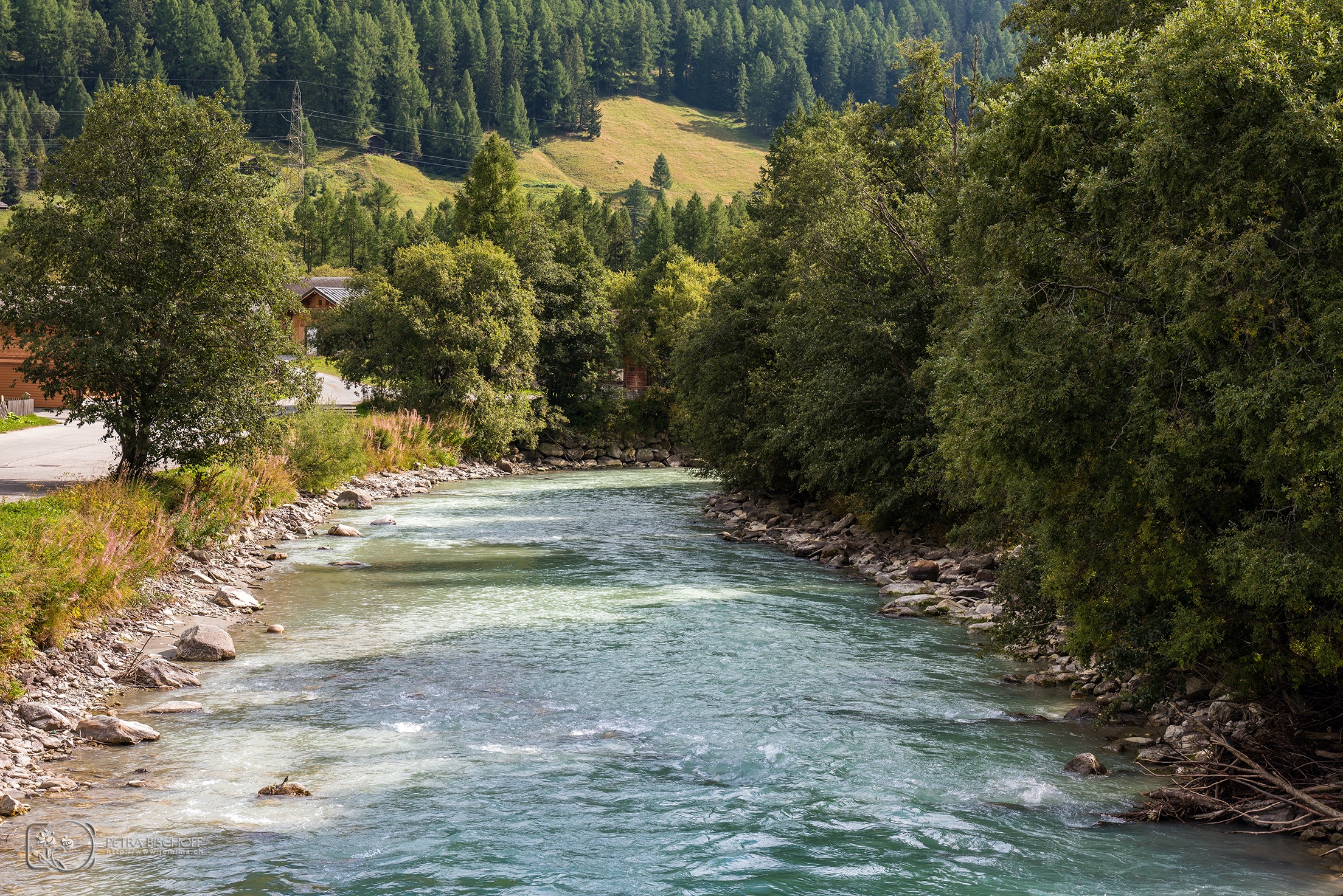 &copy; Petra Bischoff