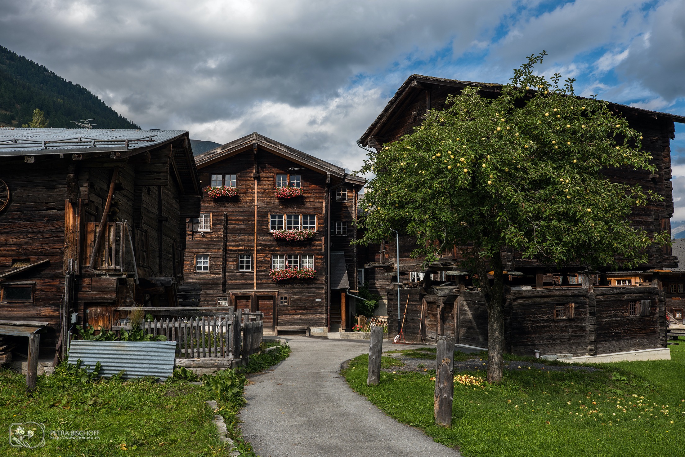 &copy; Petra Bischoff