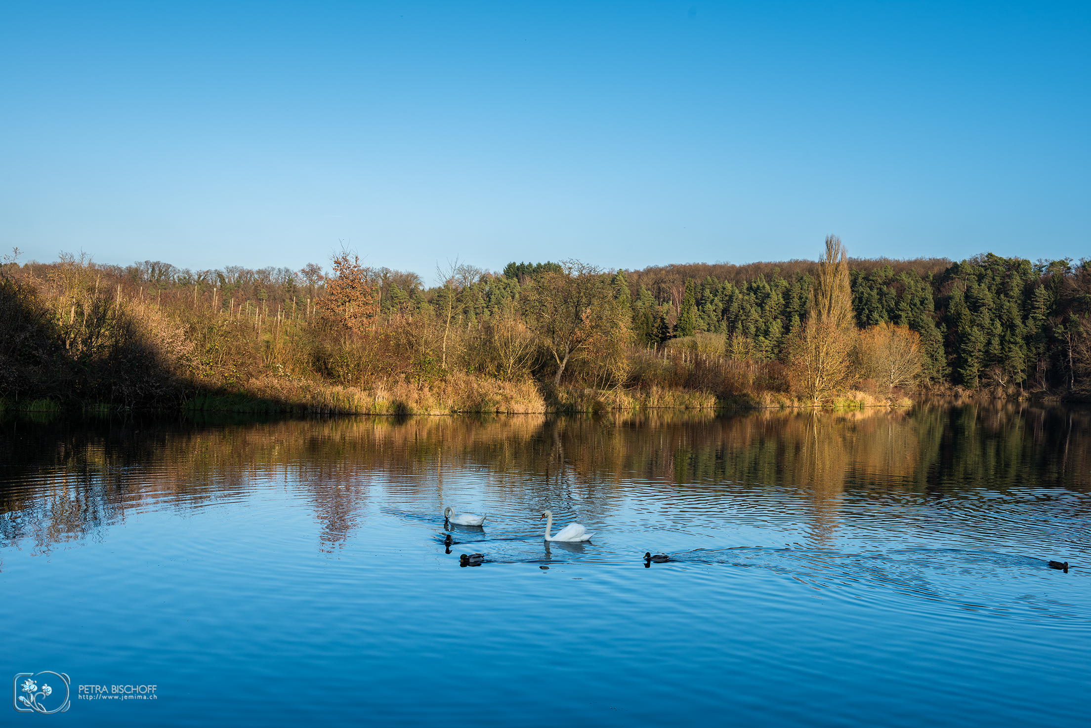 &copy; Petra Bischoff