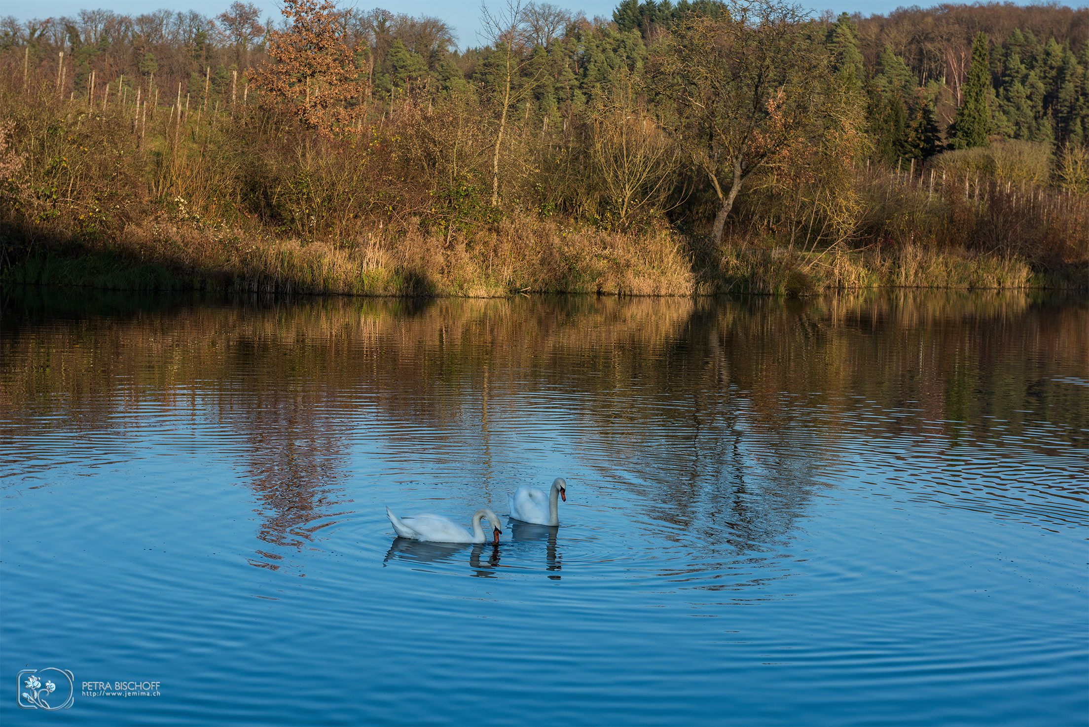 &copy; Petra Bischoff