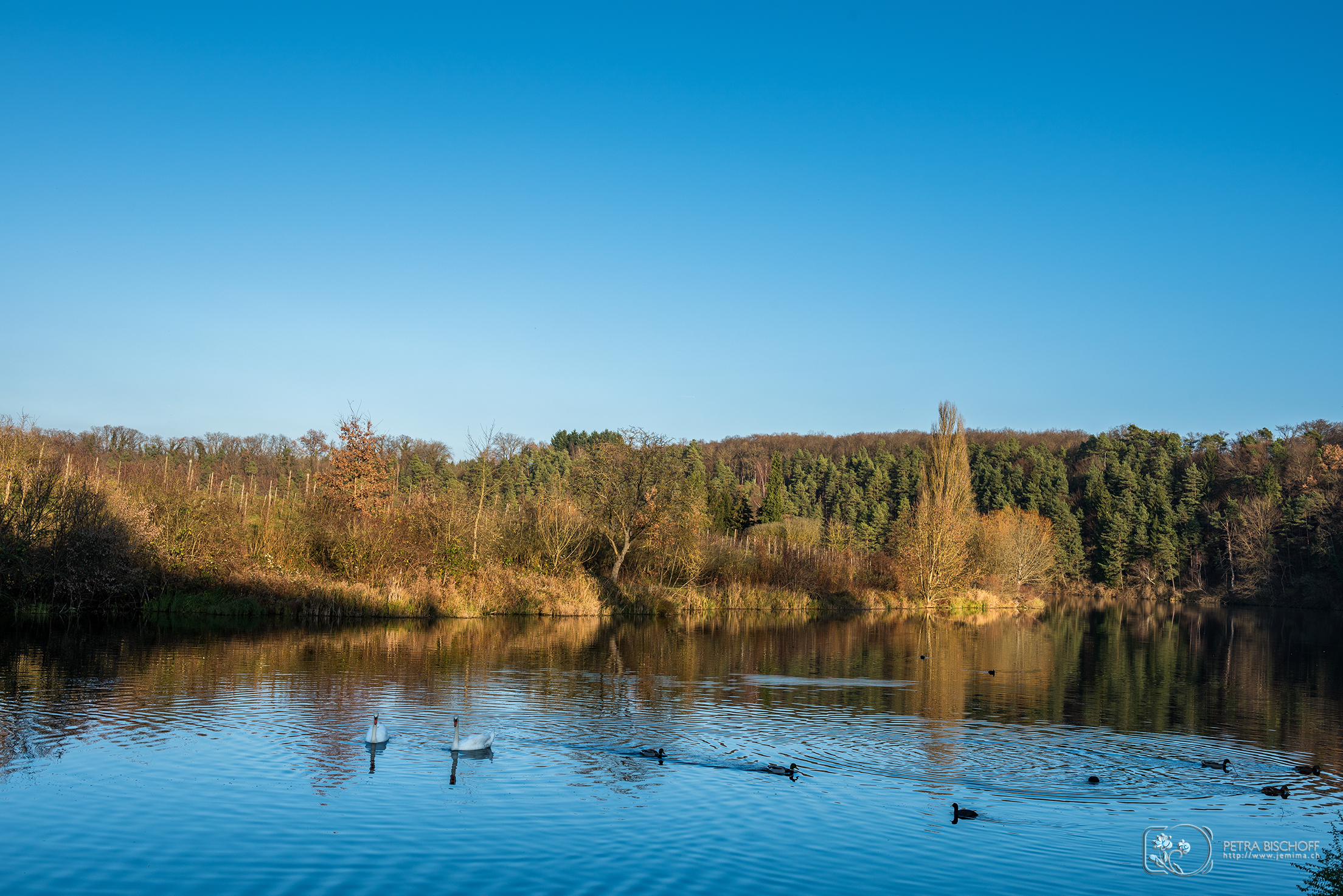 &copy; Petra Bischoff