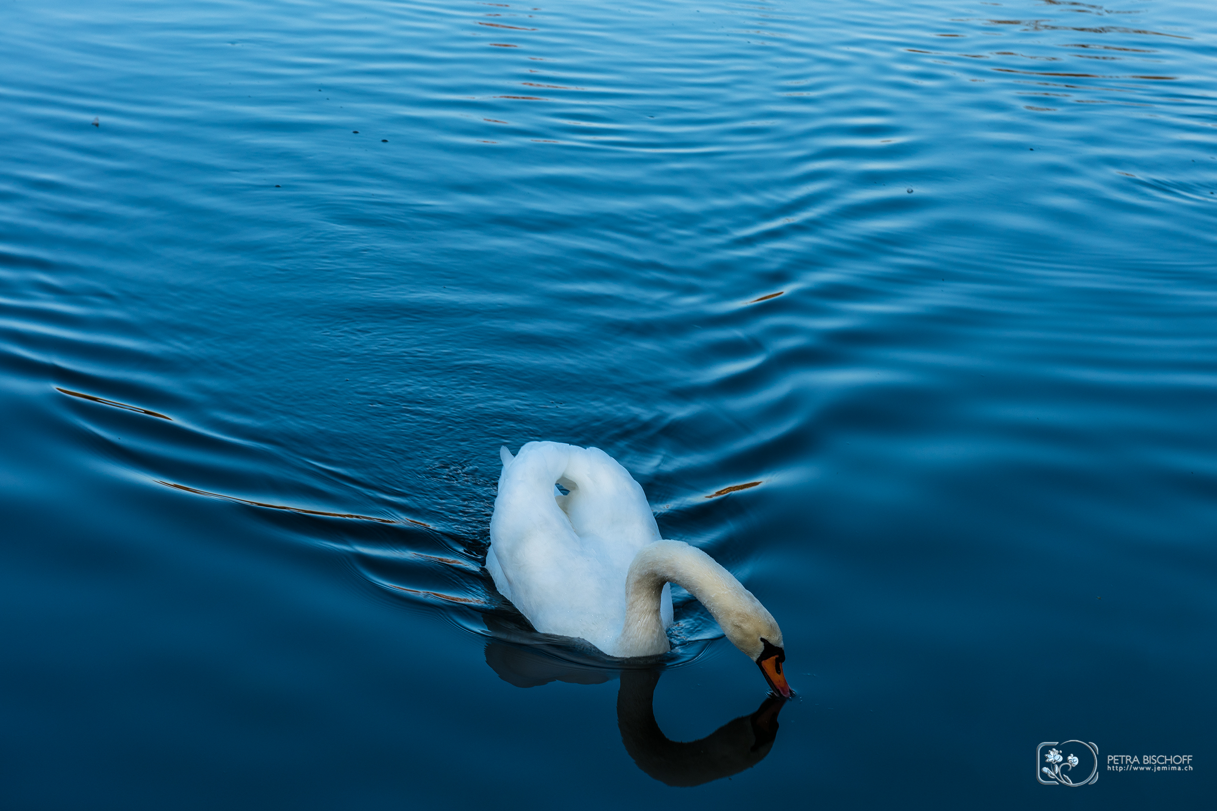 &copy; Petra Bischoff