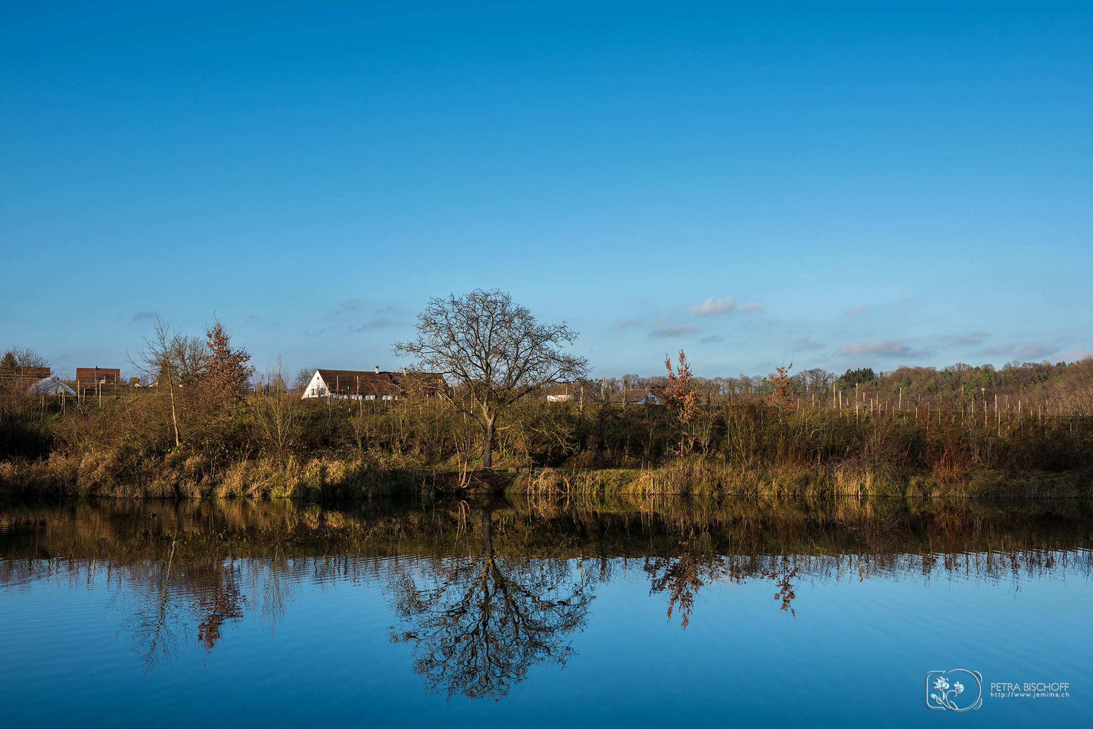 &copy; Petra Bischoff