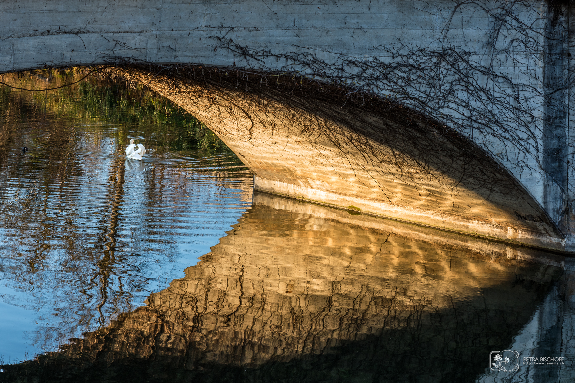 &copy; Petra Bischoff