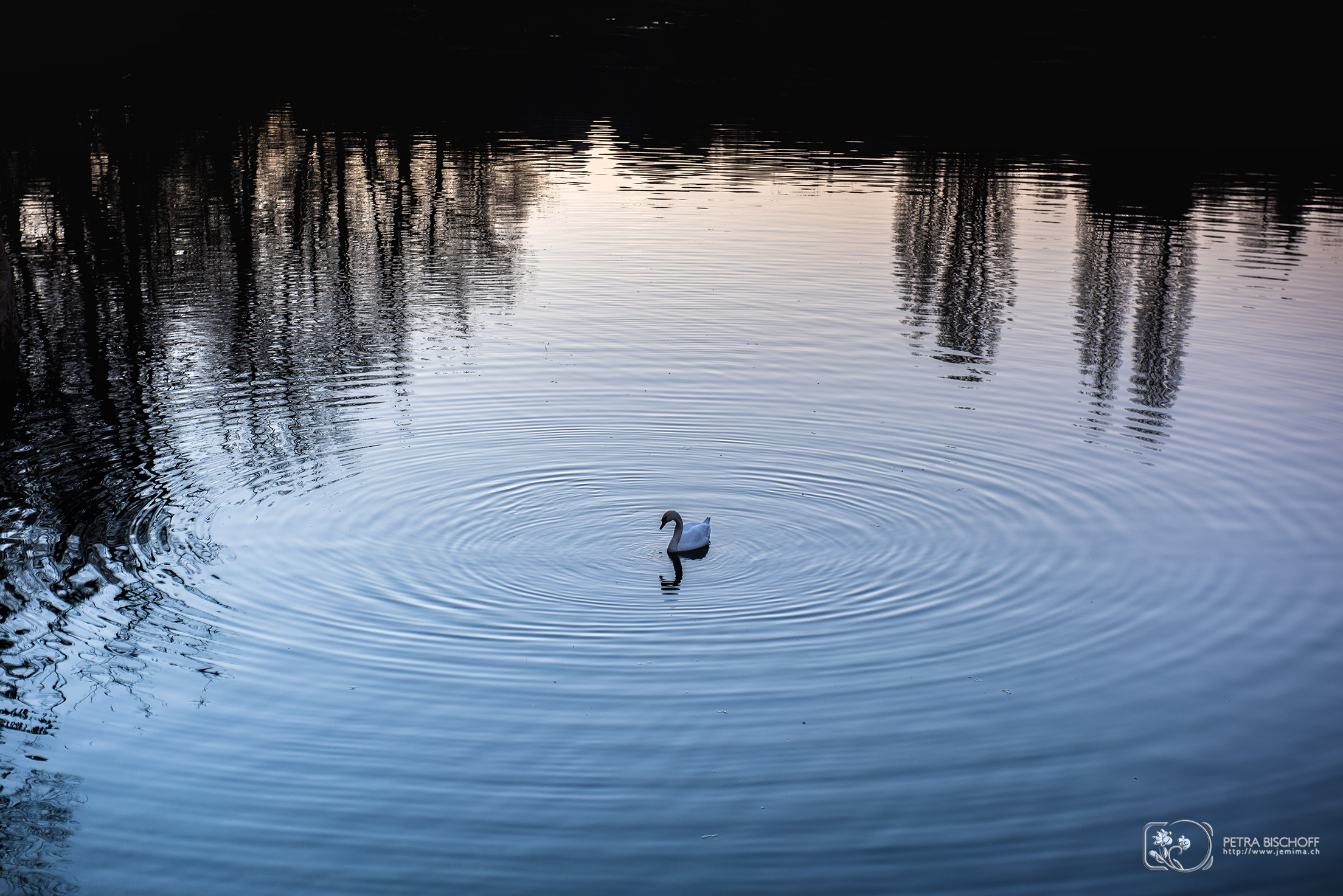 &copy; Petra Bischoff