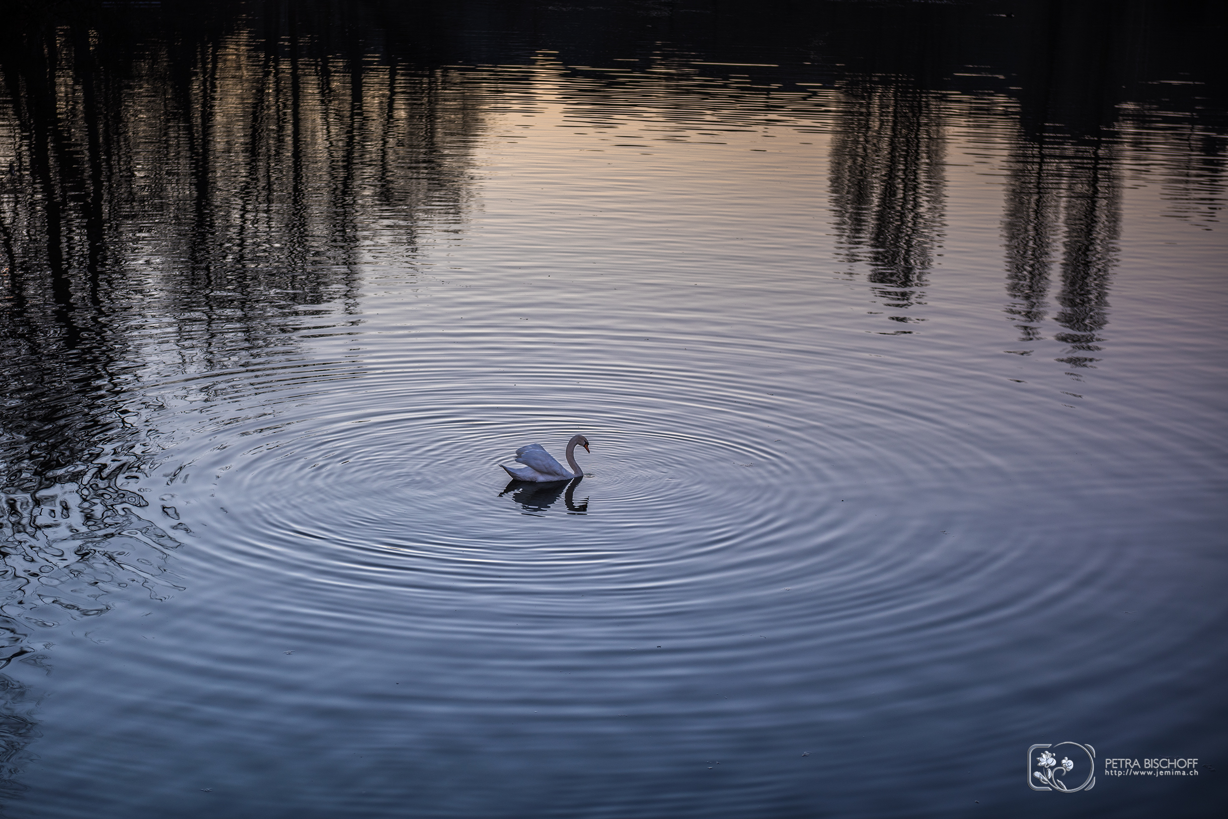 &copy; Petra Bischoff