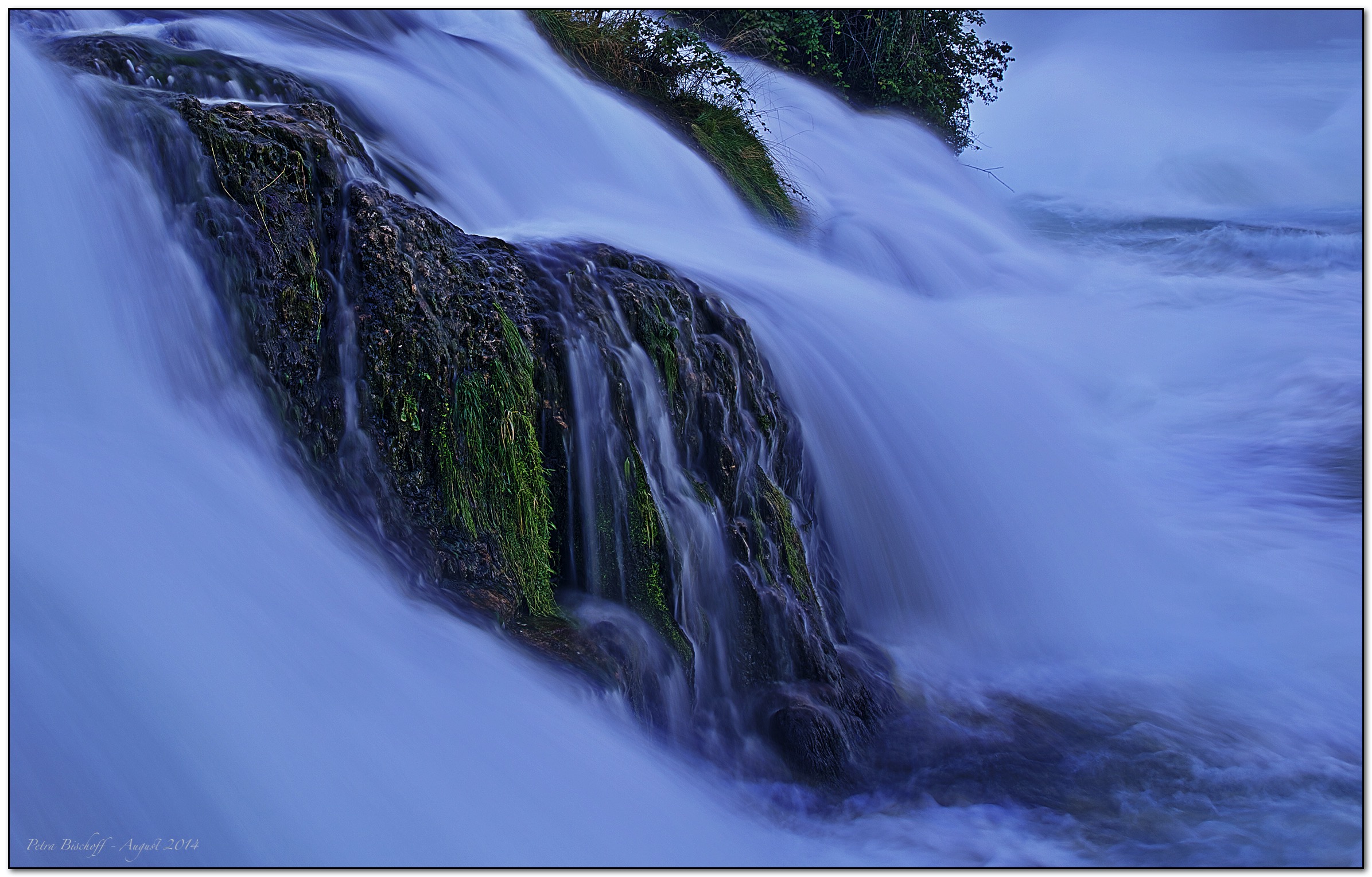 &copy; Petra Bischoff