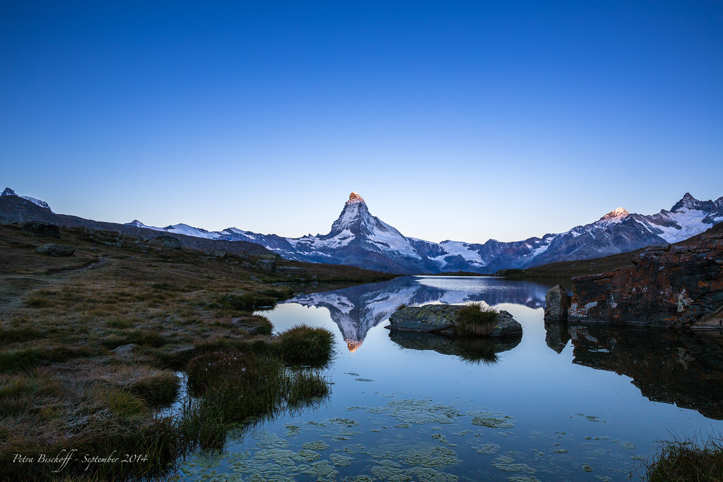 &copy; Petra Bischoff