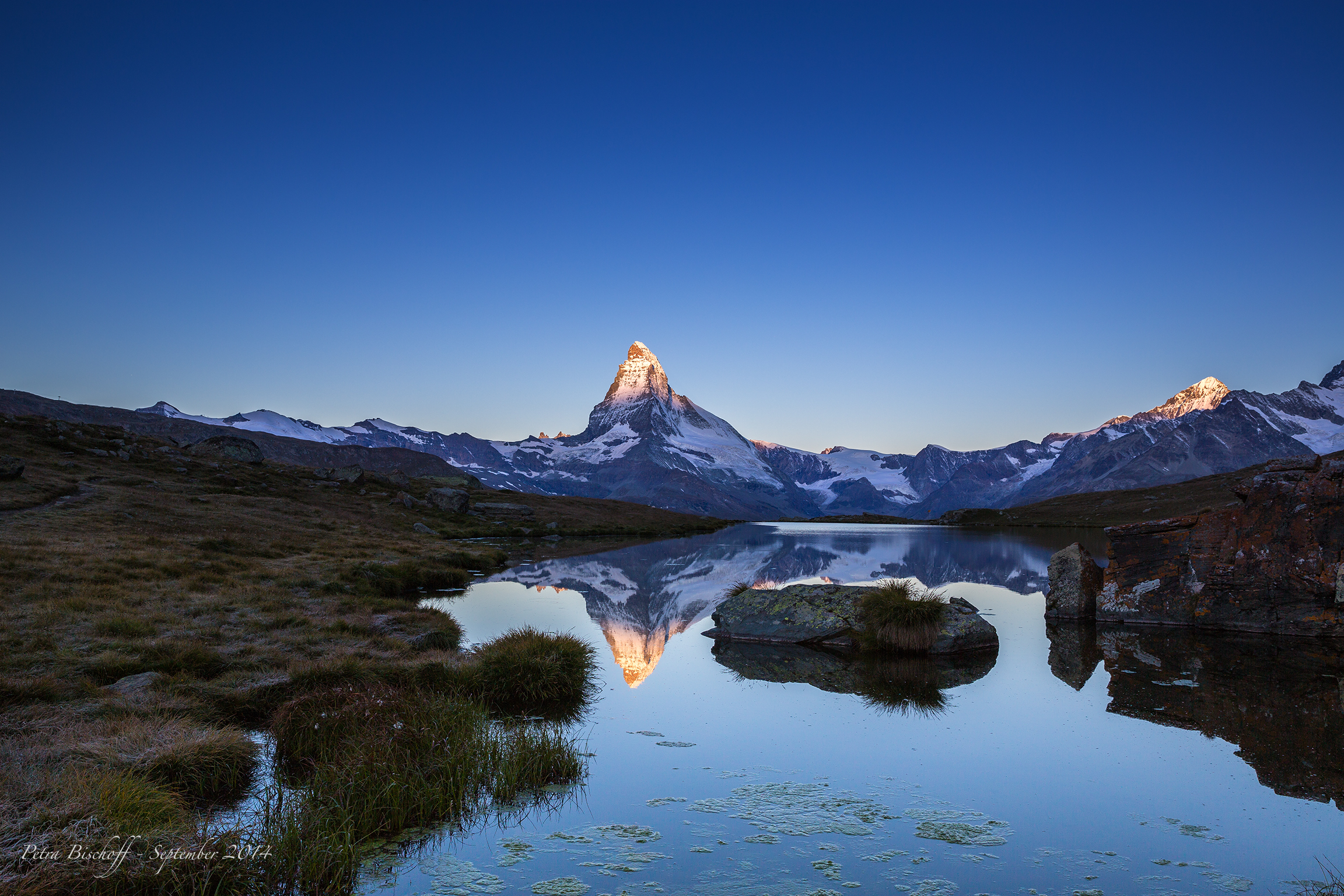 &copy; Petra Bischoff