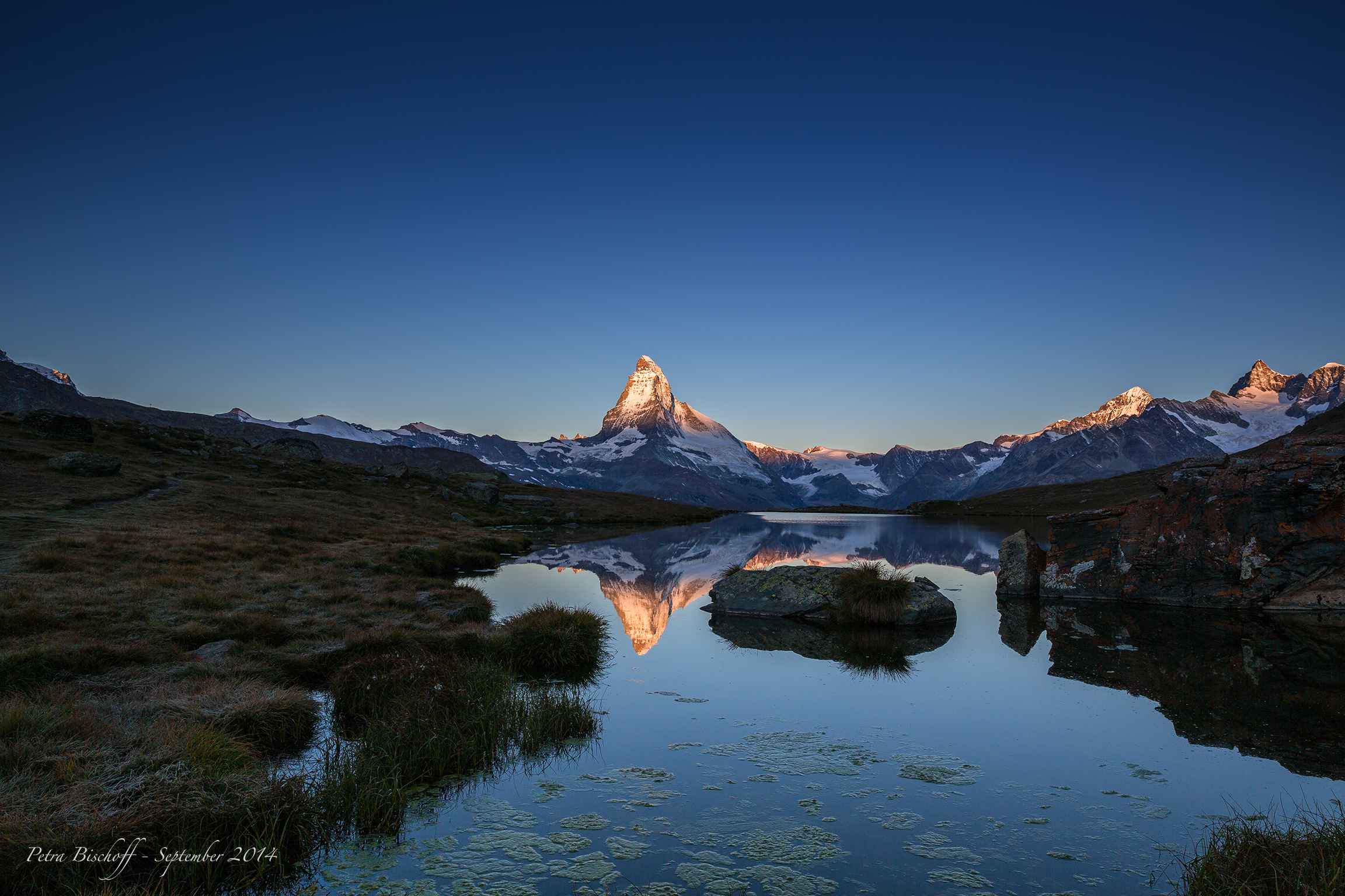 &copy; Petra Bischoff