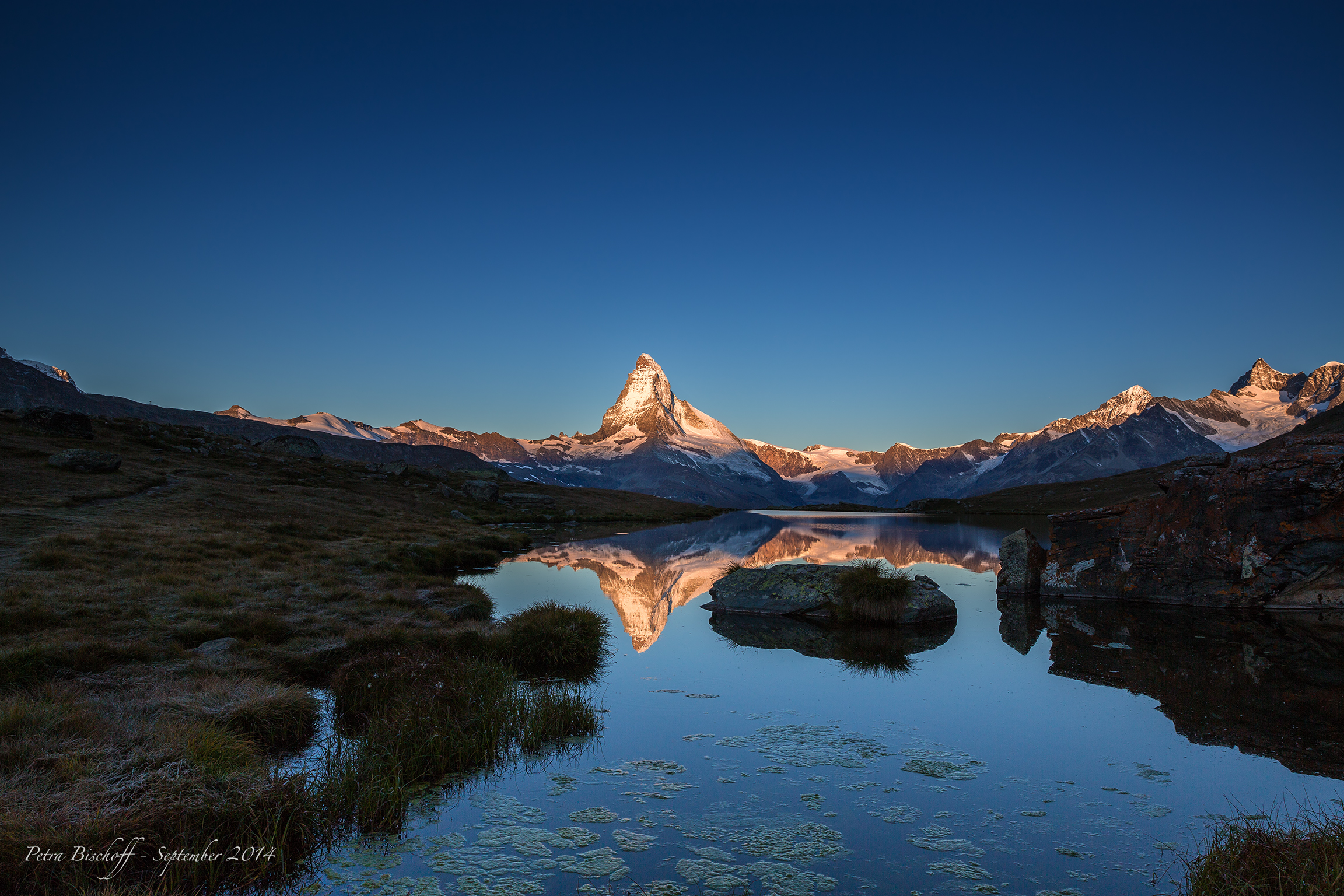 &copy; Petra Bischoff