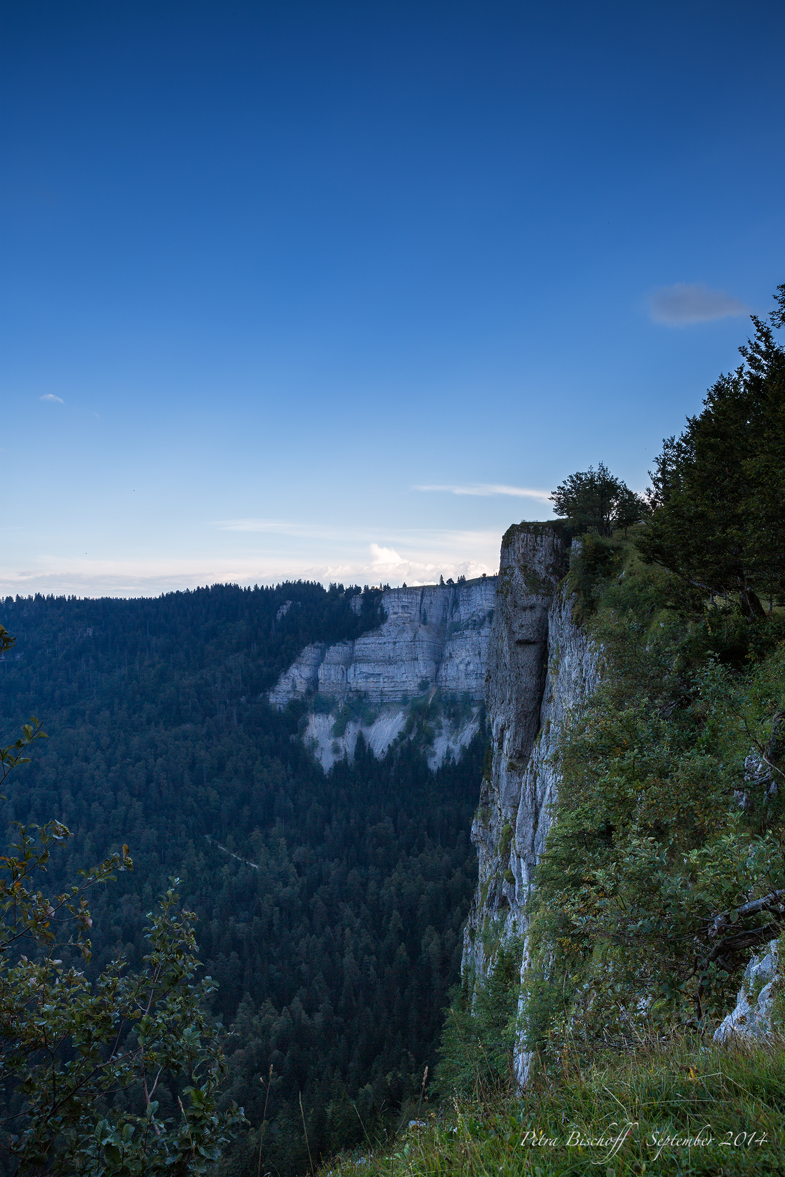 &copy; Petra Bischoff