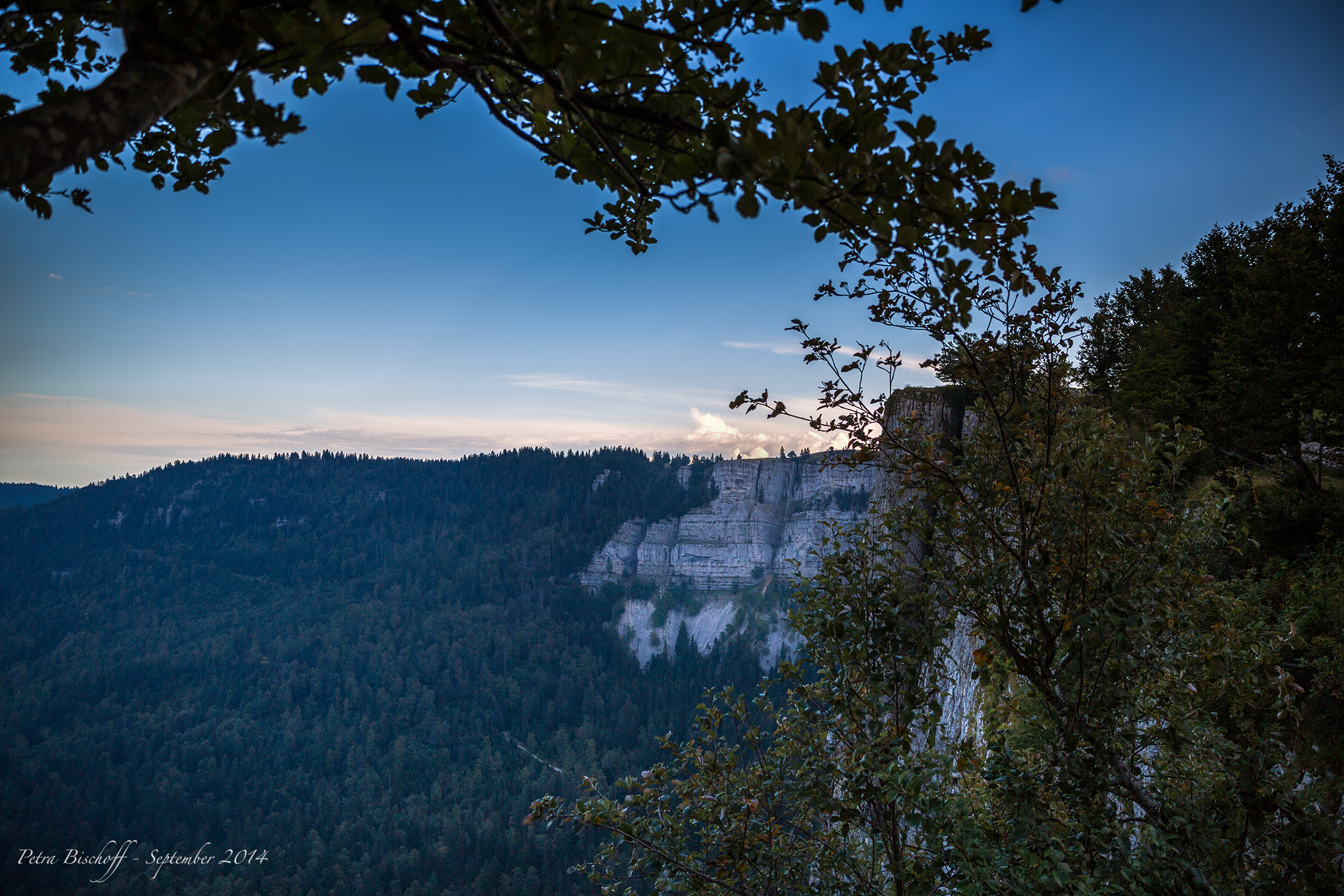 &copy; Petra Bischoff