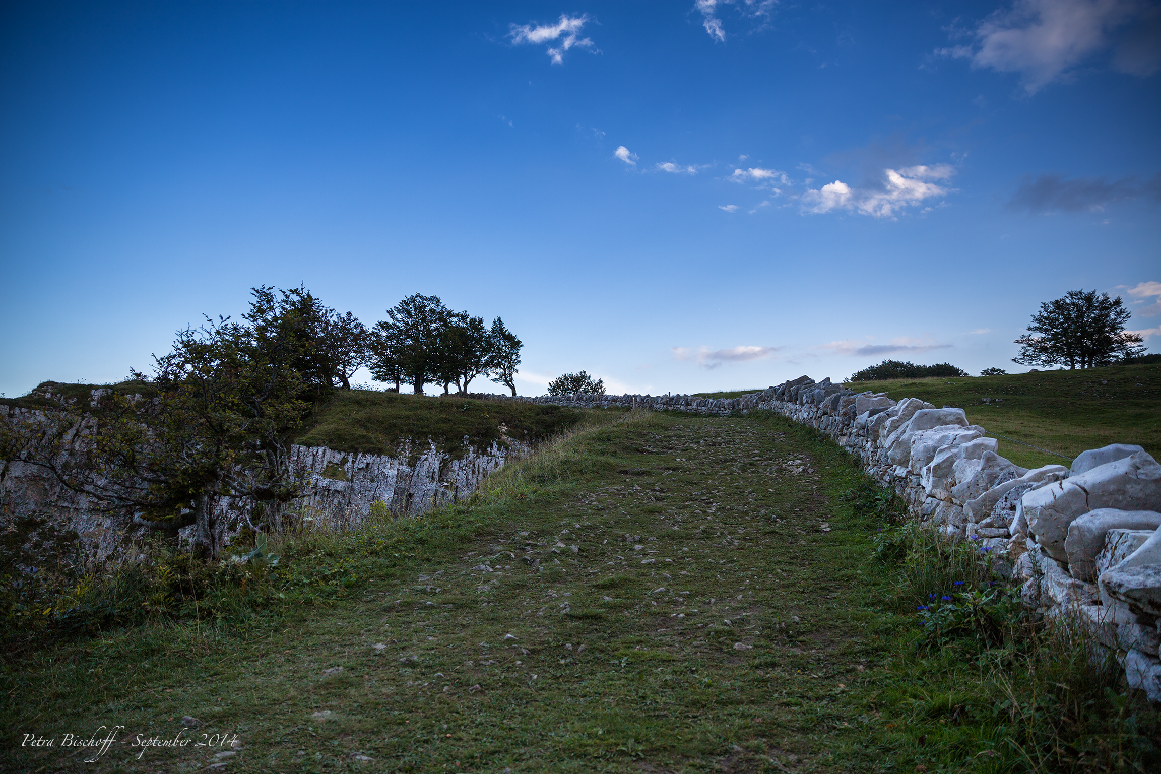 &copy; Petra Bischoff