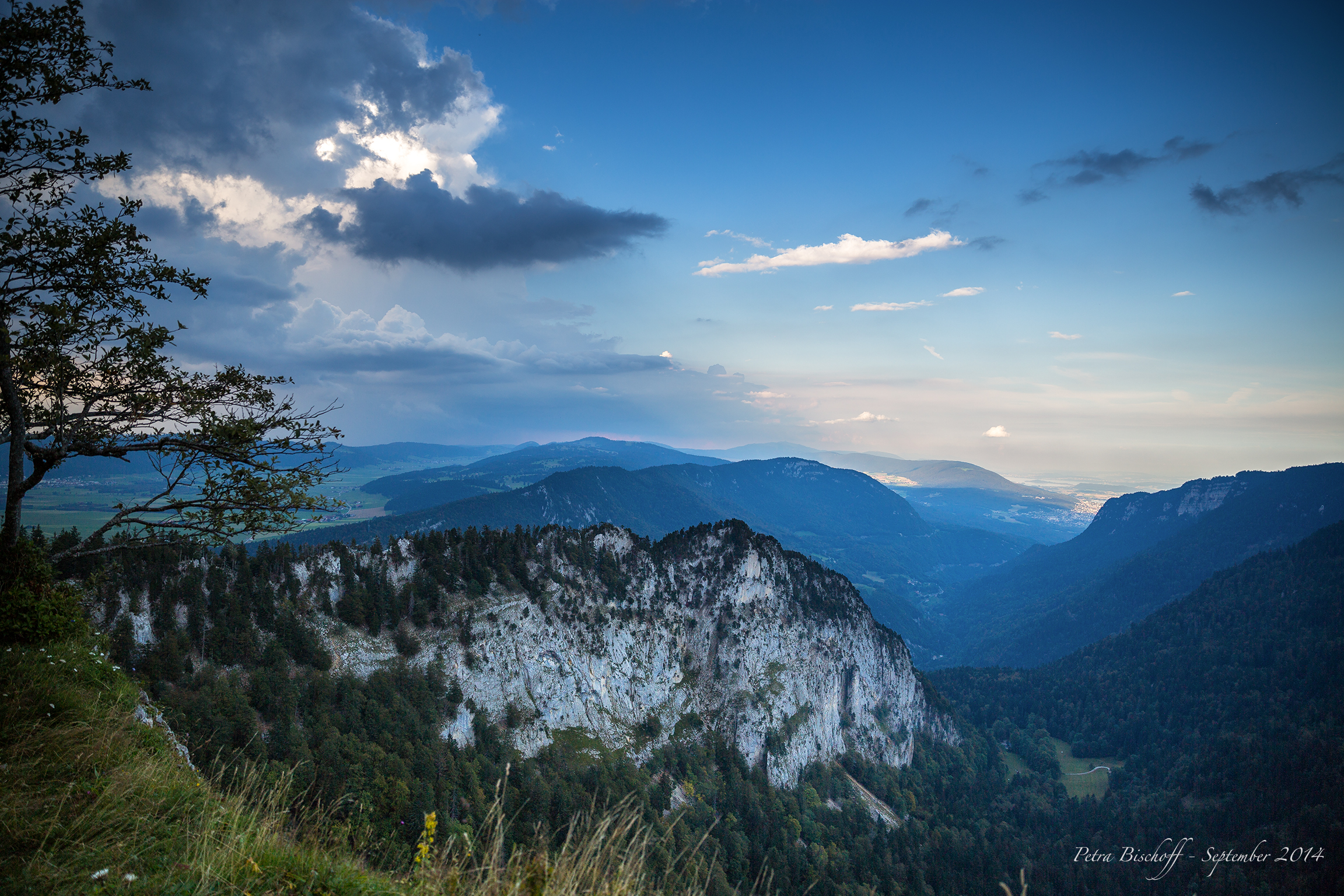 &copy; Petra Bischoff