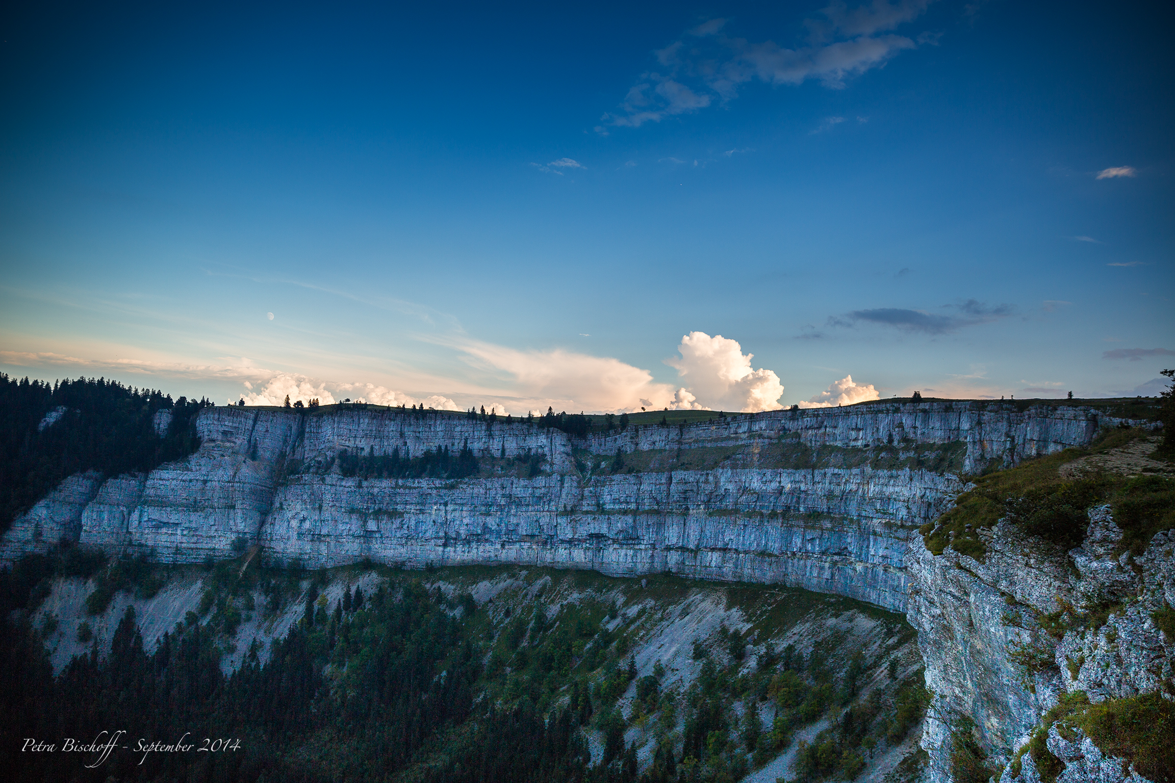 &copy; Petra Bischoff