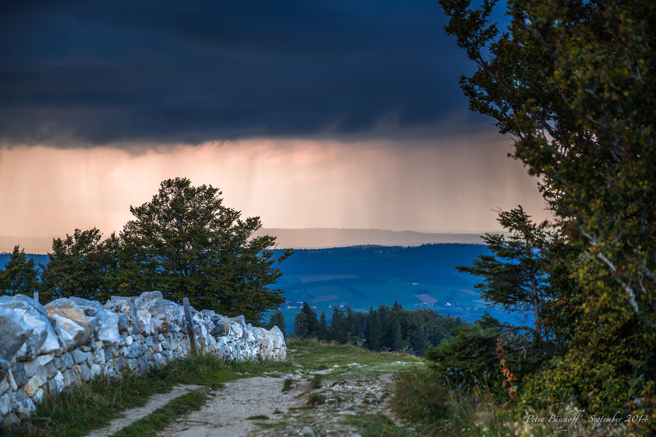 &copy; Petra Bischoff