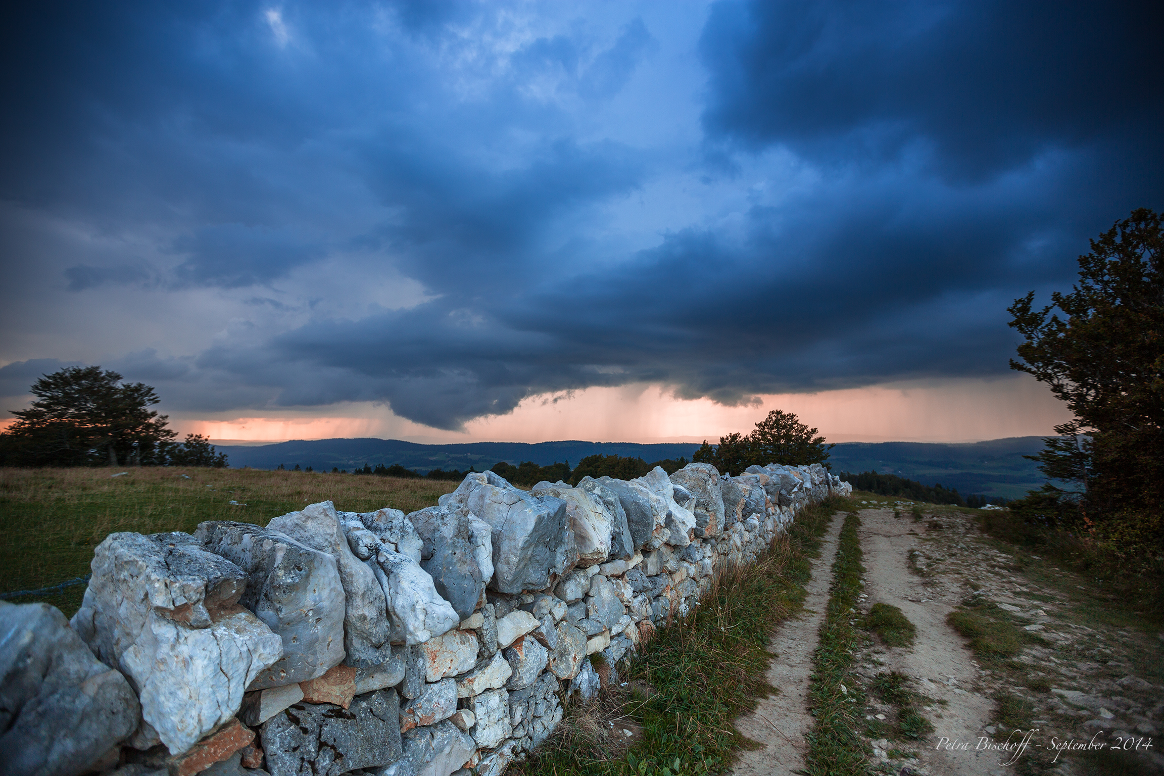 &copy; Petra Bischoff