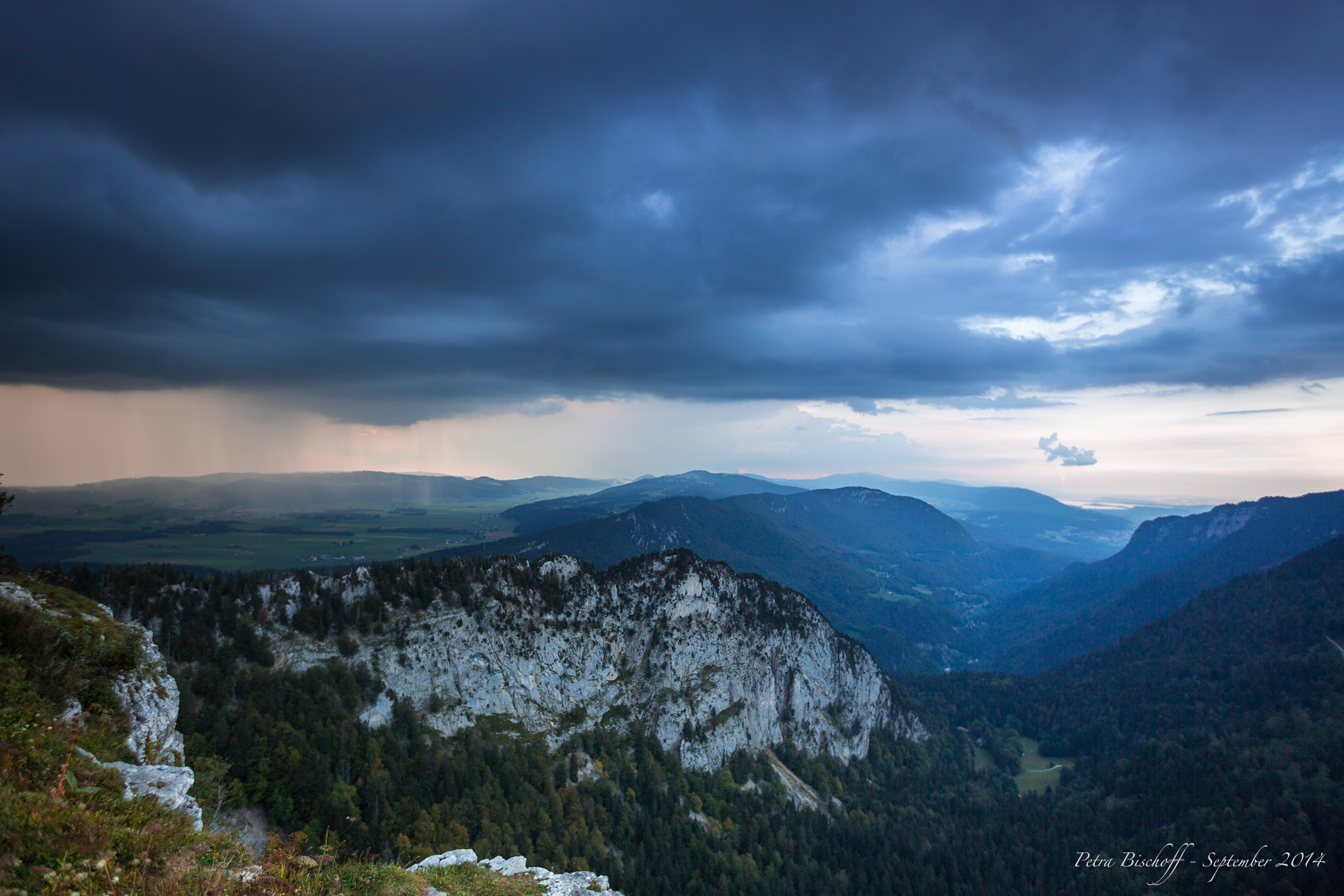 &copy; Petra Bischoff