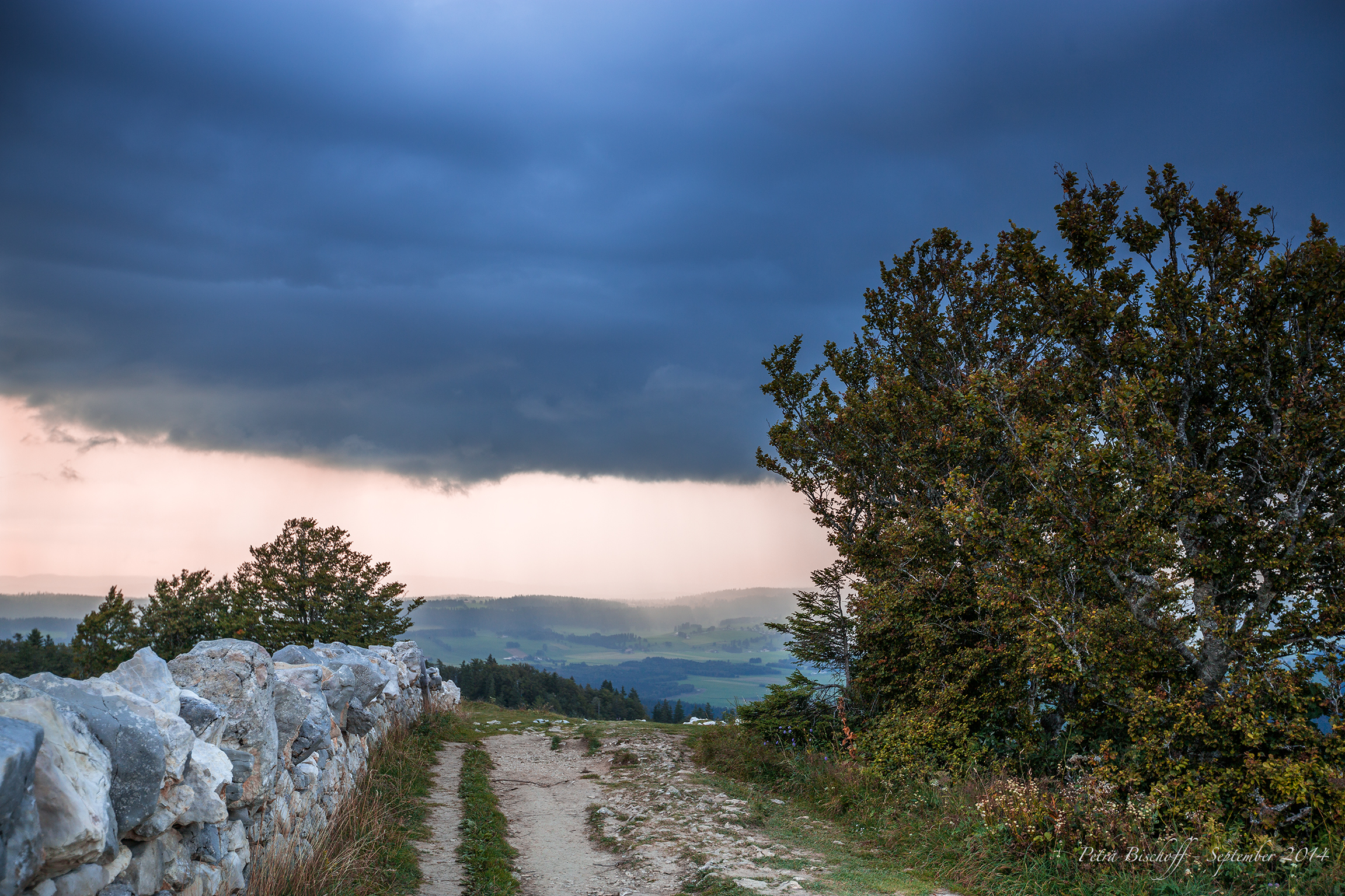 &copy; Petra Bischoff