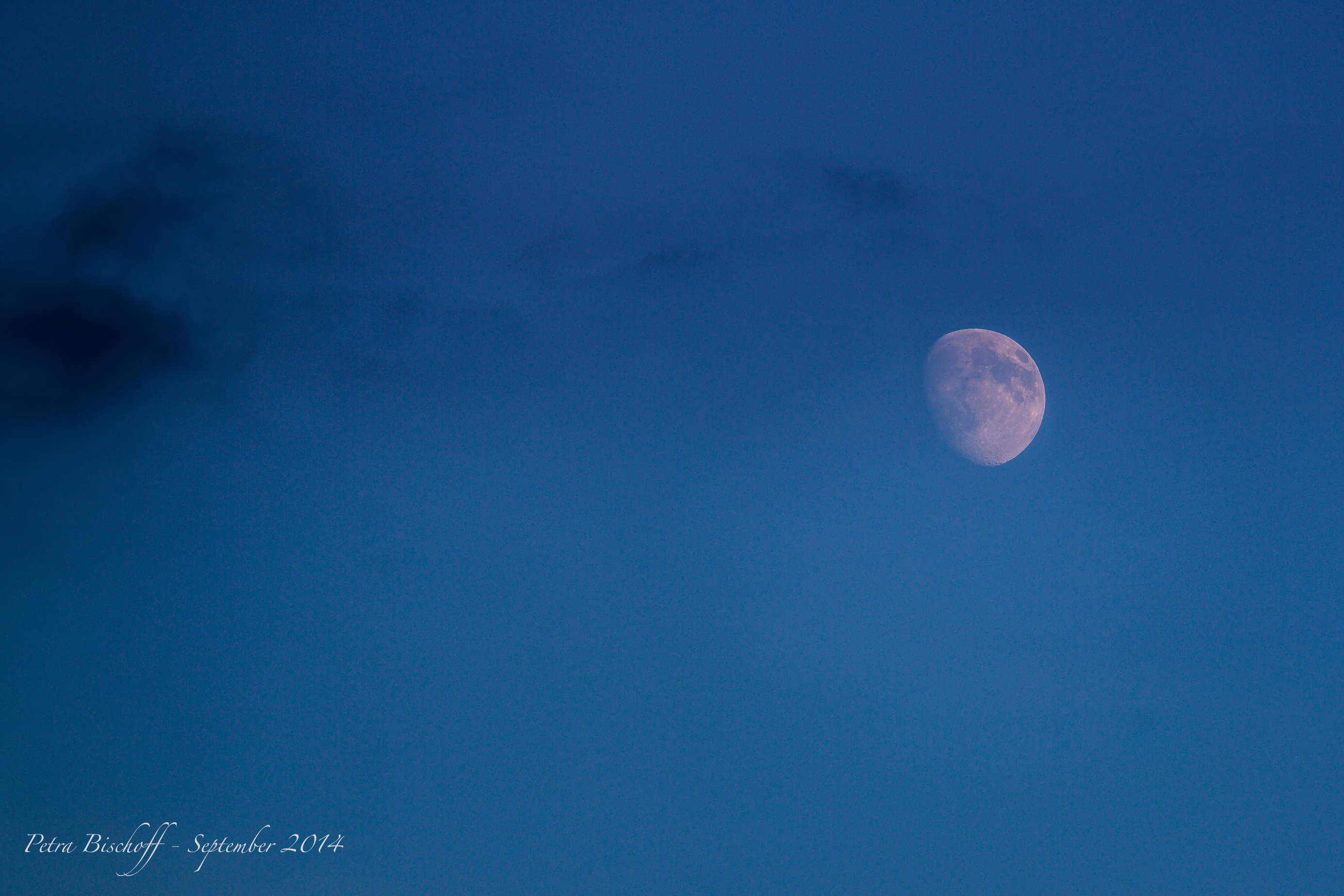 &copy; Petra Bischoff